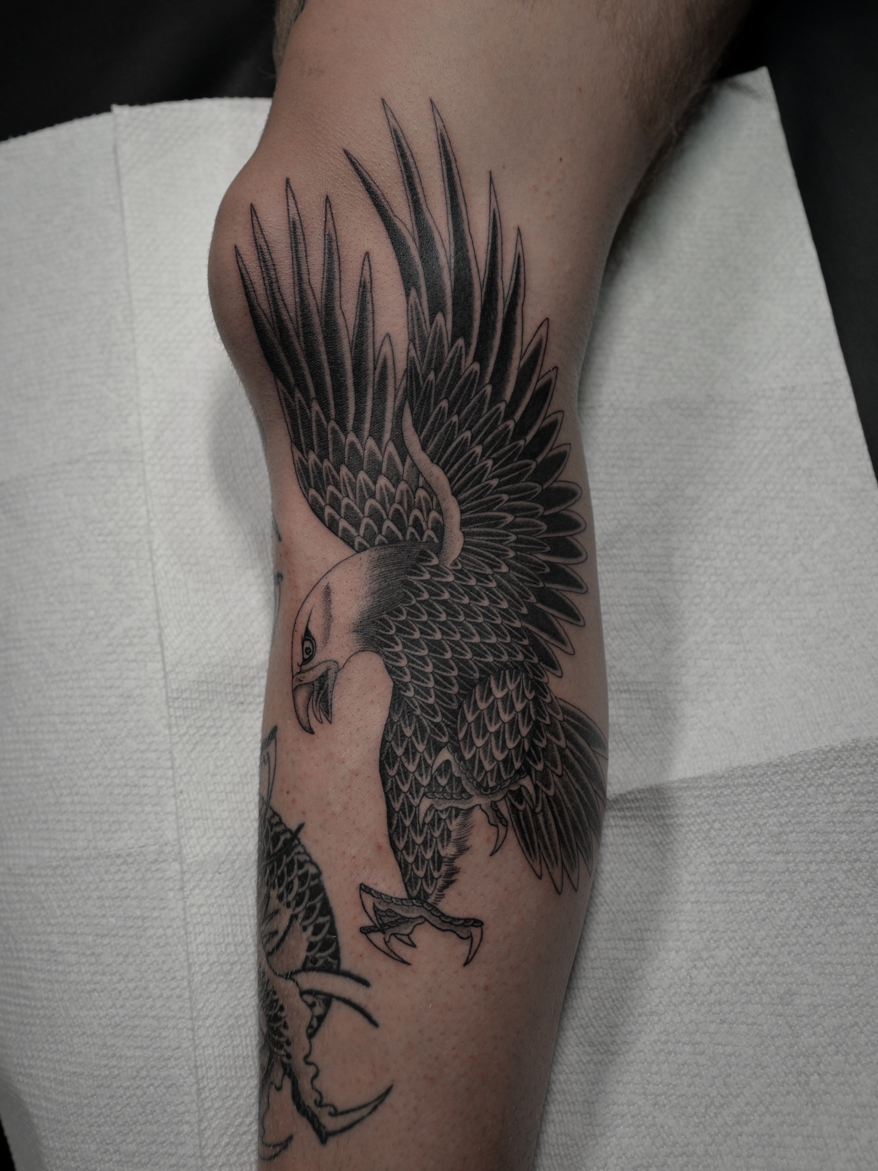 Eagle black and grey tattoo on the forearm by zak brochu, Windsor, Ontario