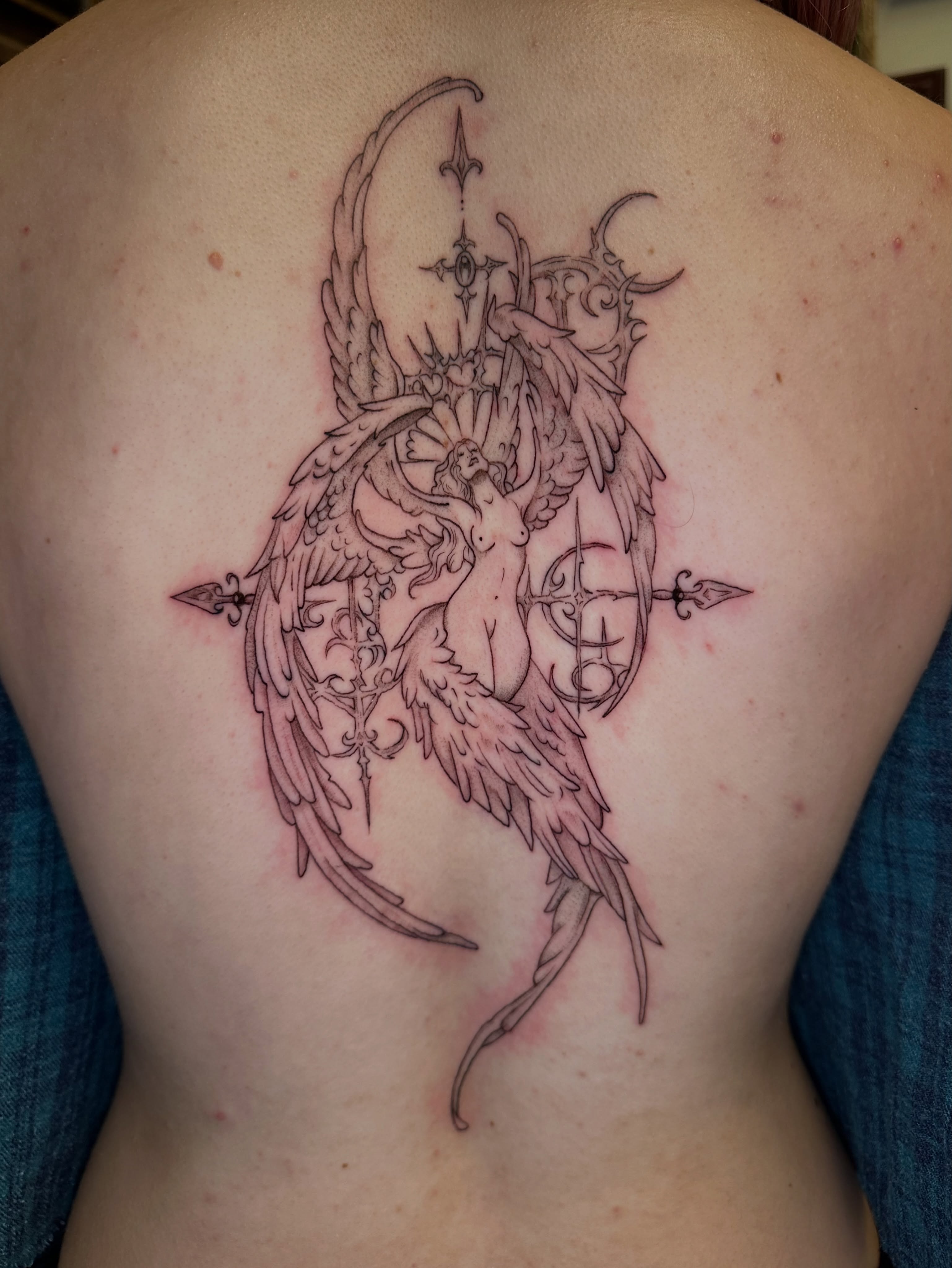 Phoenix neo-traditional tattoo on the back by Lauren