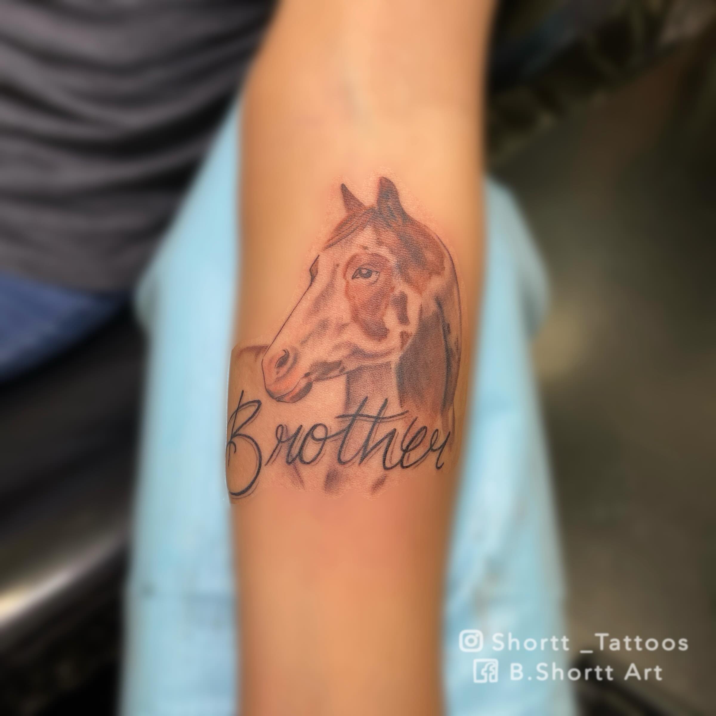 Horse head realism tattoo on the forearm by Brie Marie