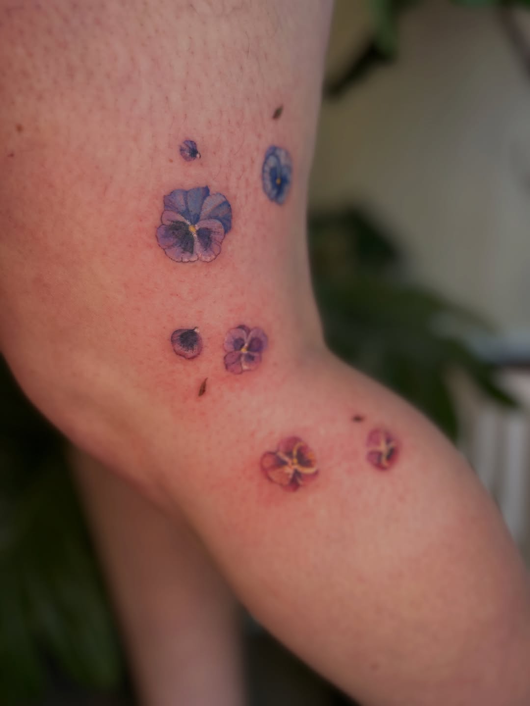 Tattoo by @wolveratattoo — fine_line, watercolor
