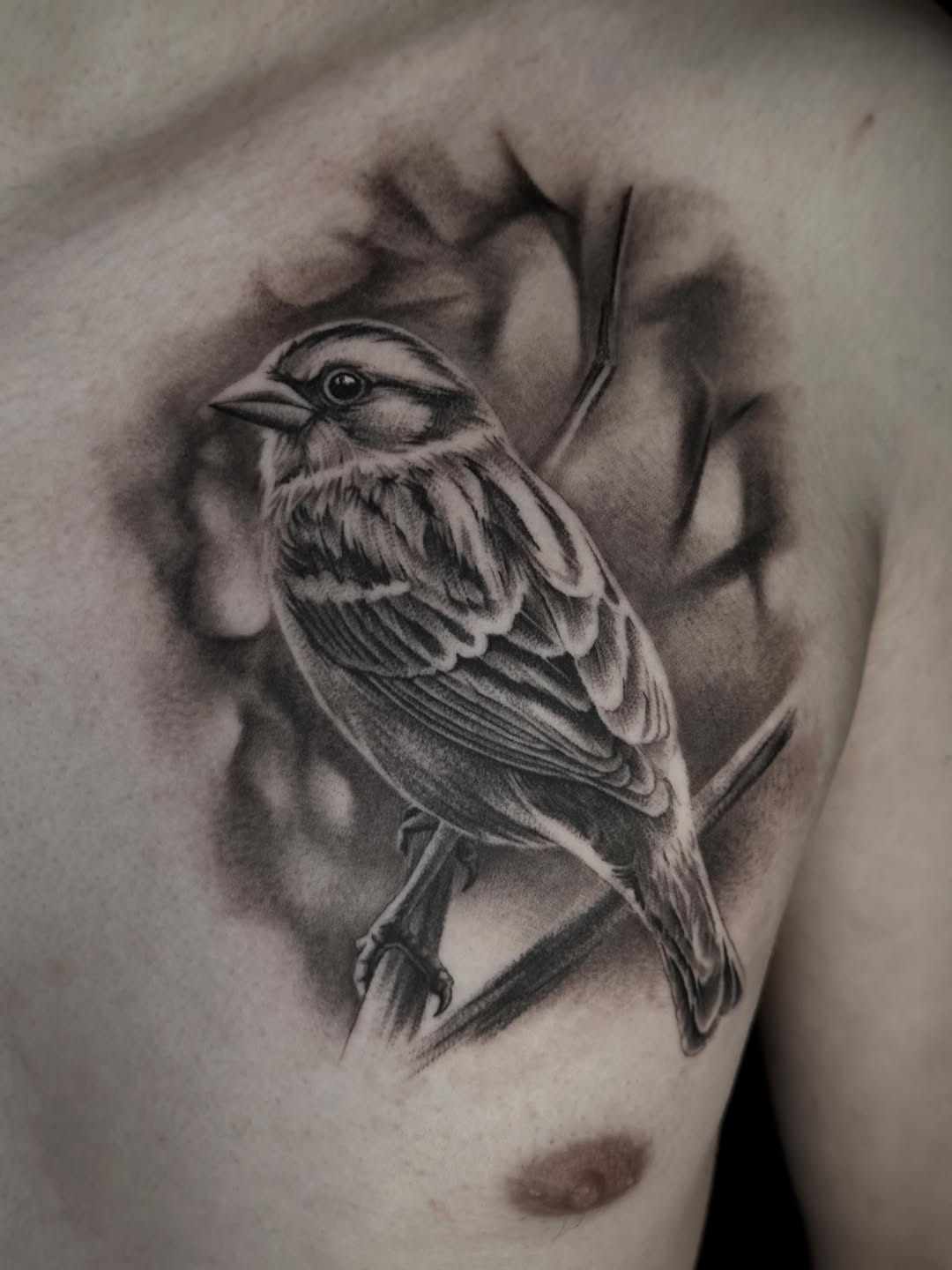 Tattoo by @beholds_ — realism, black_and_grey