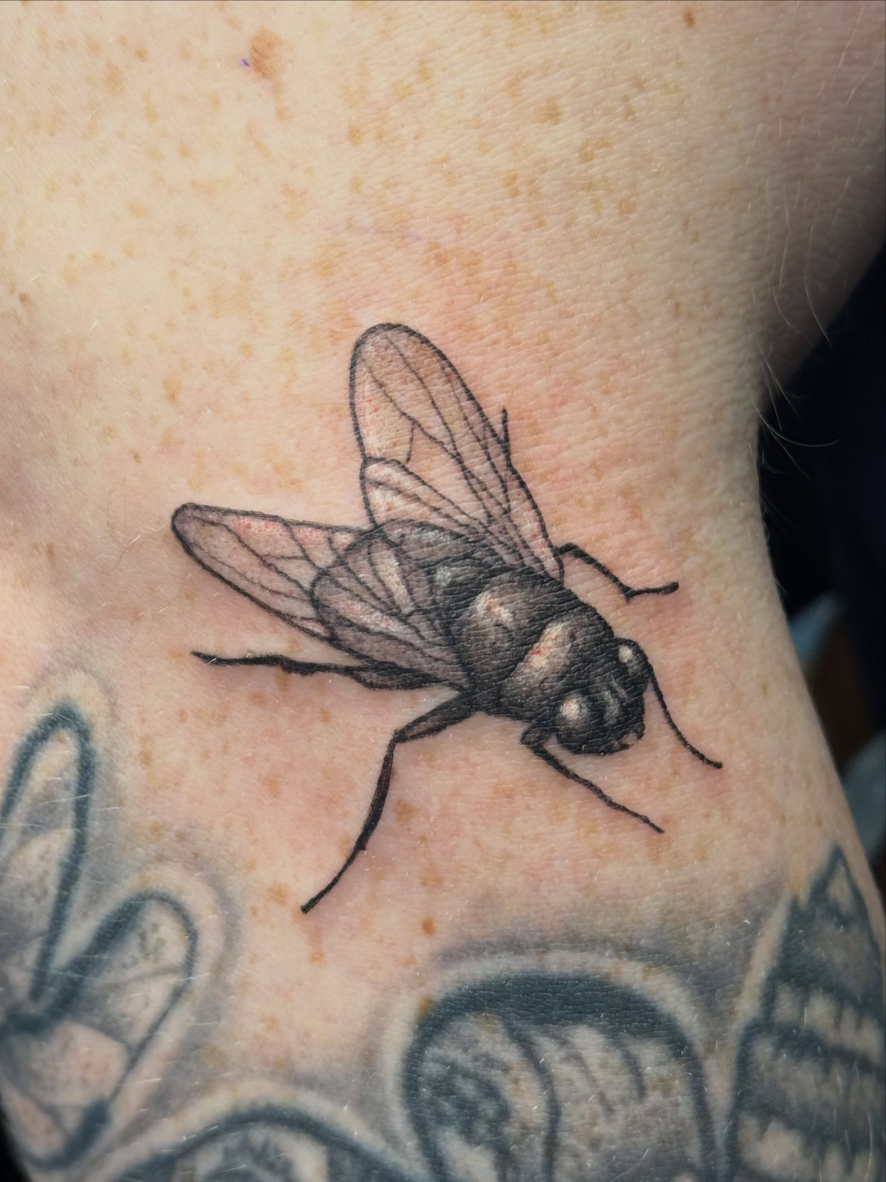 Tattoo by @haut_ces_ane — realism