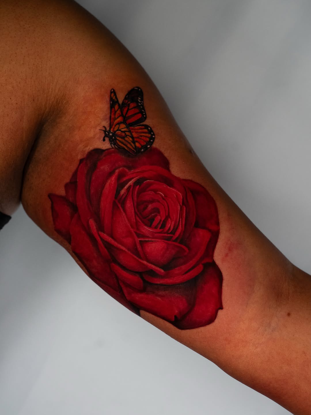 Red rose and monarch butterfly neo-traditional tattoo on the forearm by Nate
