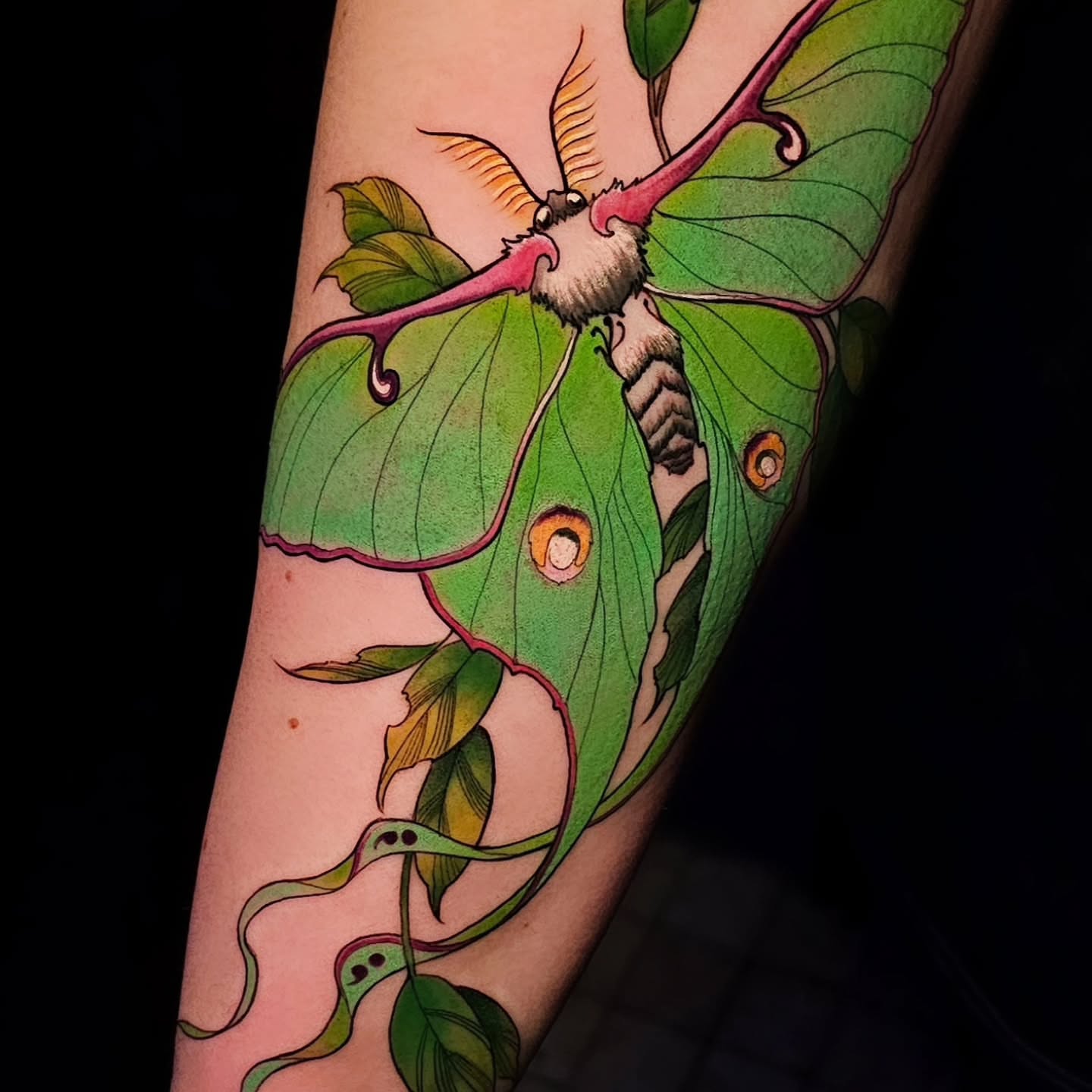 Moon moth illustrative tattoo on the forearm by Adriannah Esparza