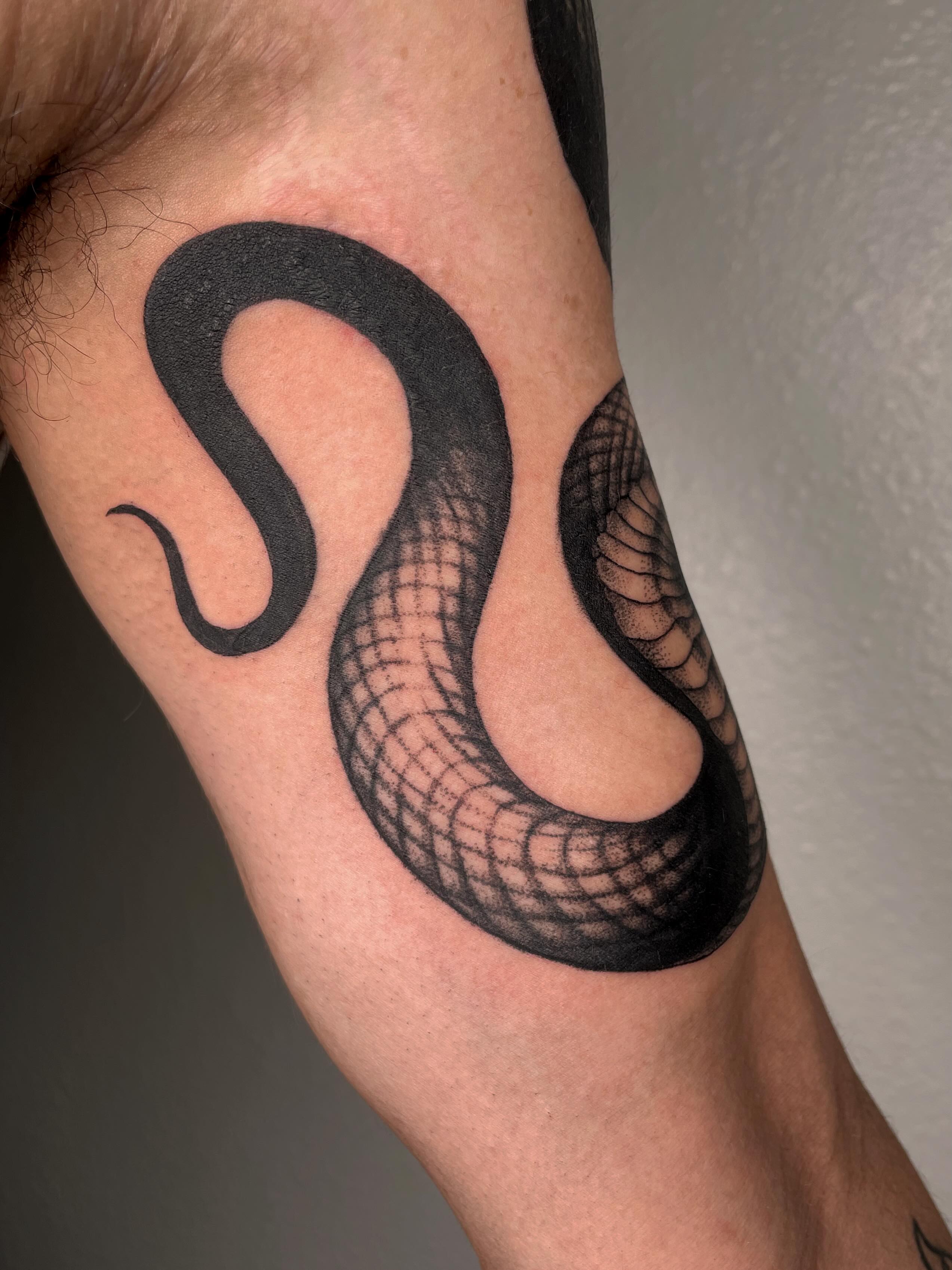 Snake black and grey tattoo on the forearm by Vash