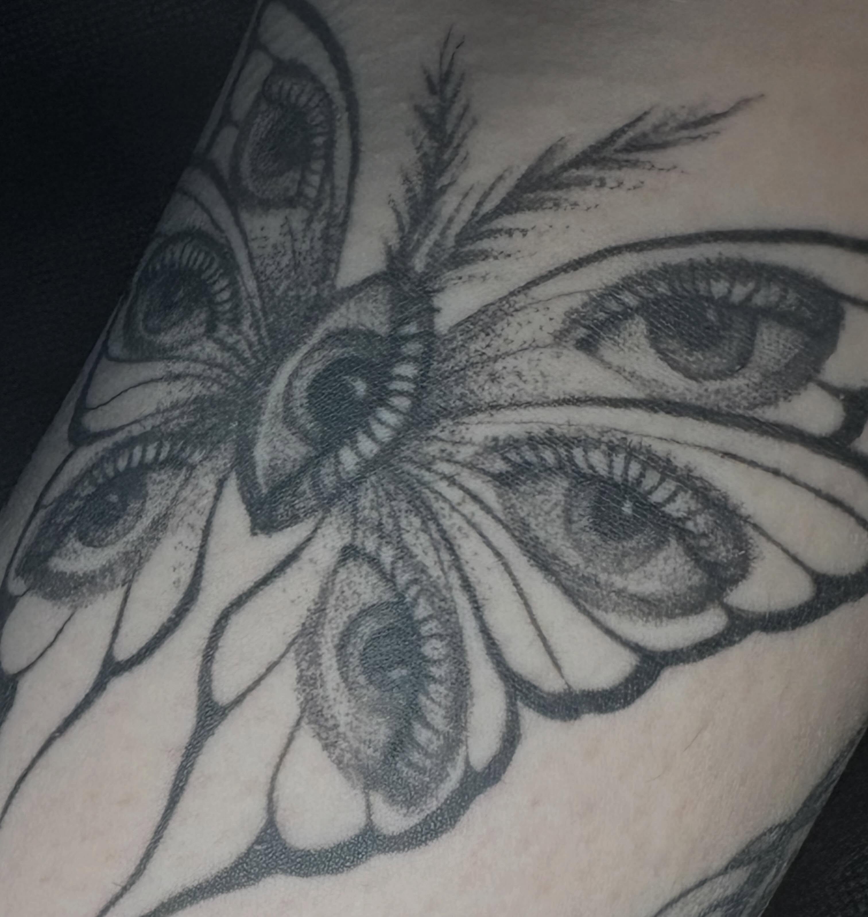 Eye moth dotwork tattoo on the forearm by Cassandra Colleen