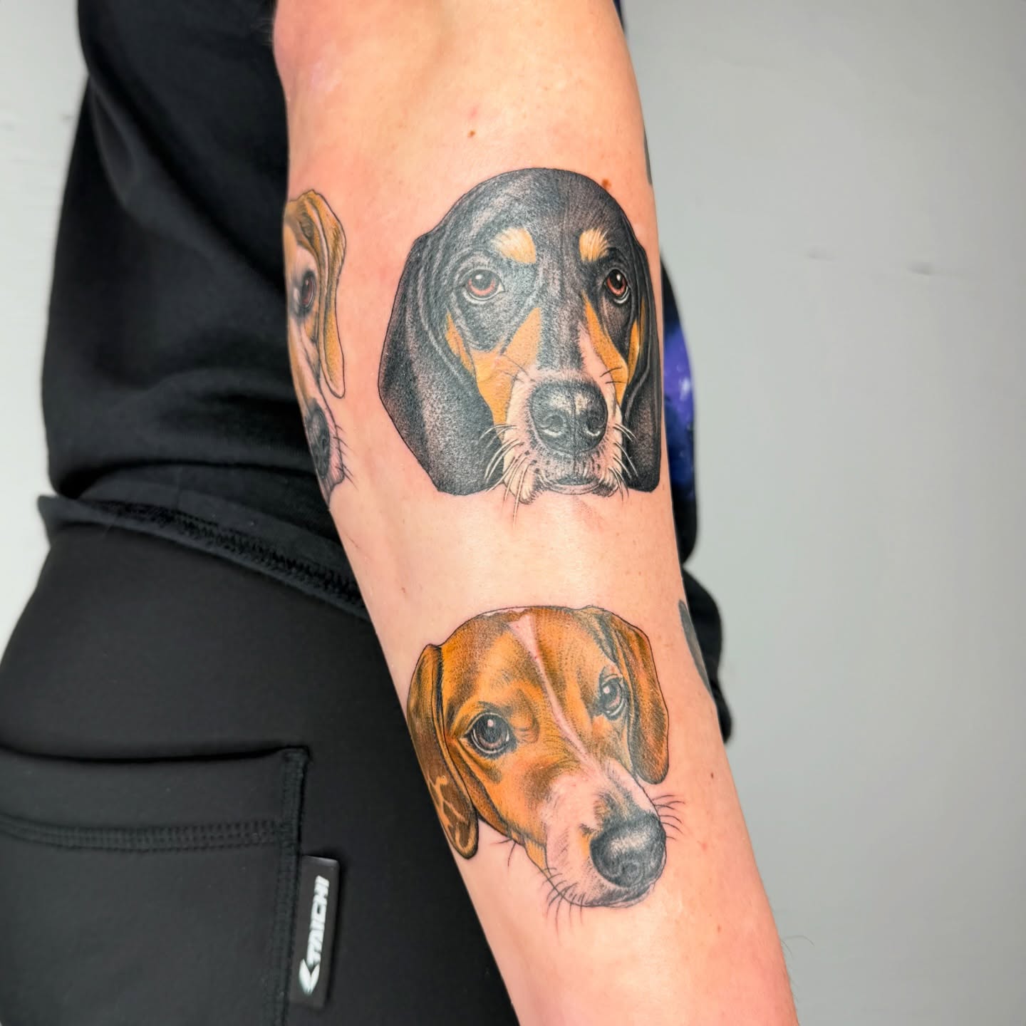 Dog portraits realism tattoo on the forearm by Rose