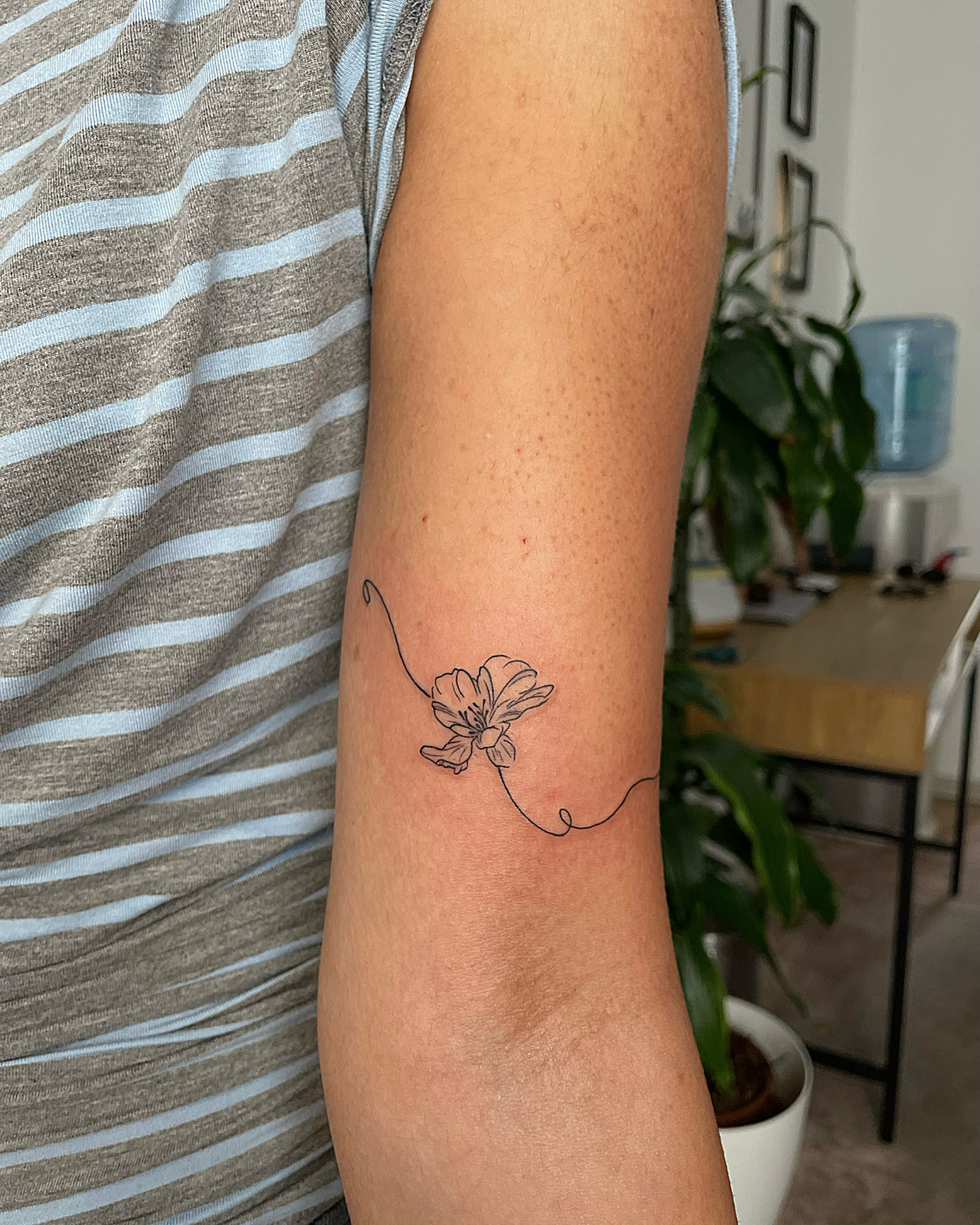 Tattoo by @mimz_studio — fine_line