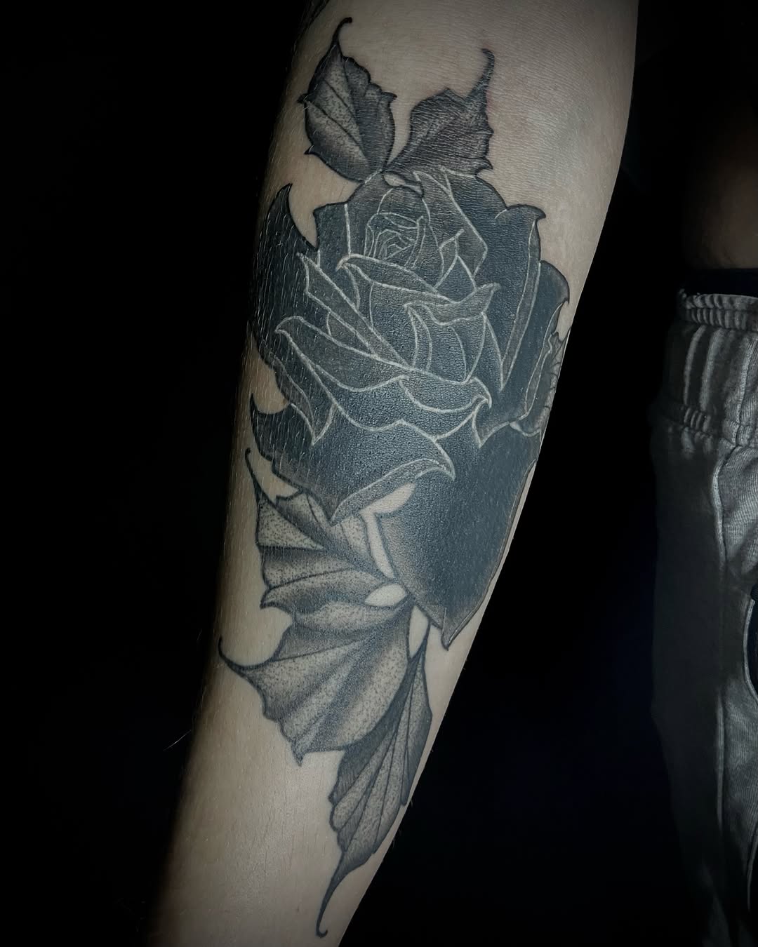 Tattoo by @inked.by.shelbie — black_and_grey, dotwork