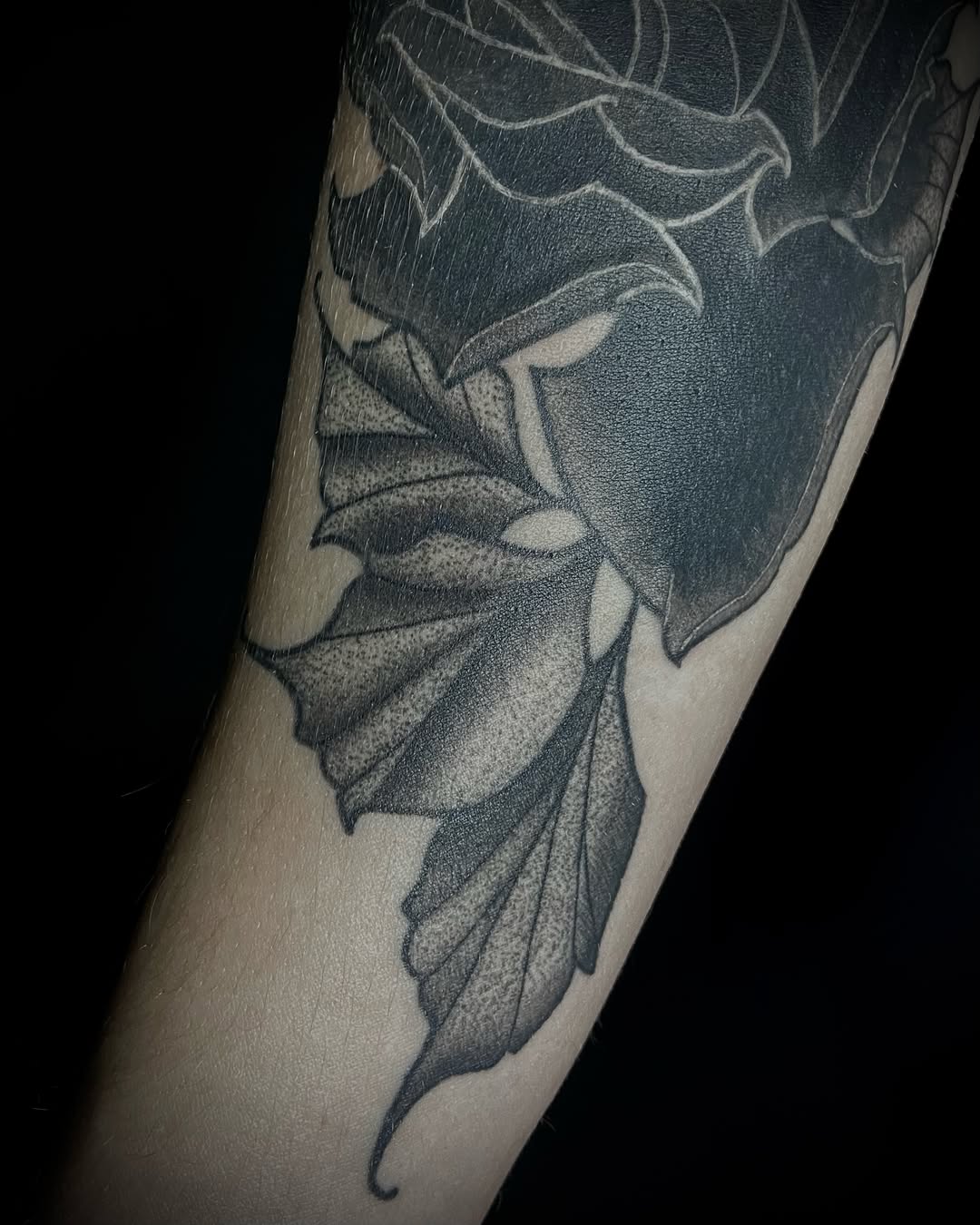 Tattoo by @inked.by.shelbie — black_and_grey, dotwork