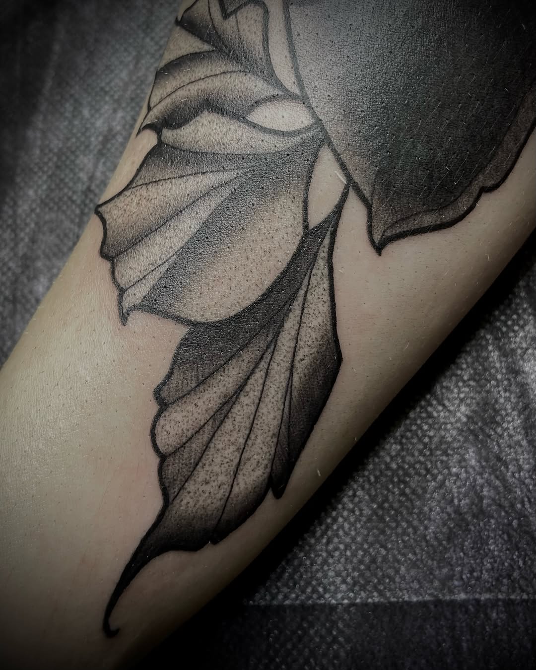 Tattoo by @inked.by.shelbie — black_and_grey, dotwork