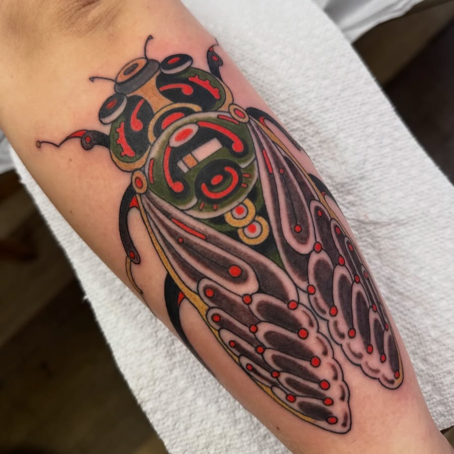 Cicada American traditional tattoo on the forearm by Chris Orta