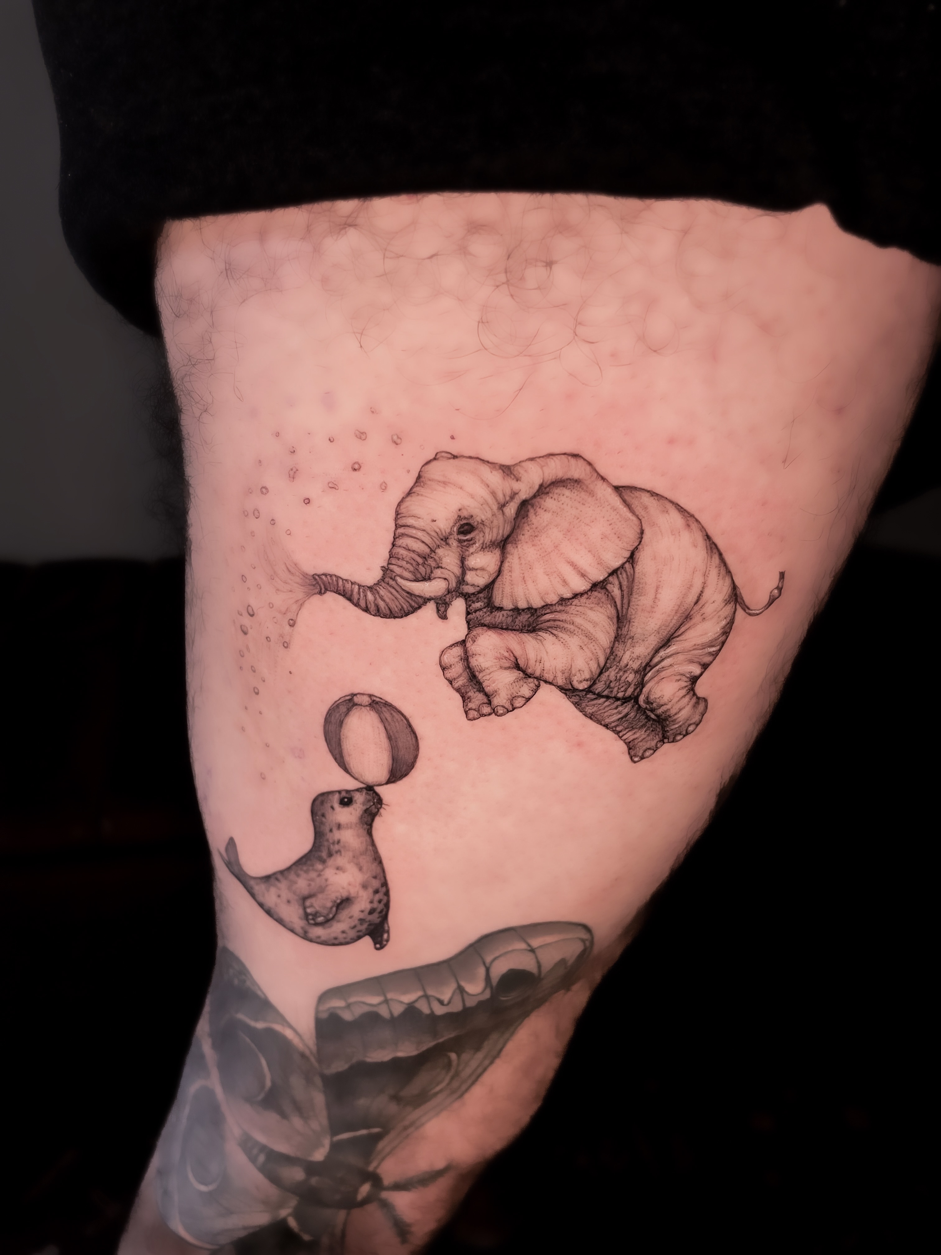 Elephant and seal dotwork tattoo on the thigh by 𝒥𝓊𝓃𝒾𝓅𝑒𝓇 𝒫𝑜𝓈𝓉 (Juju)