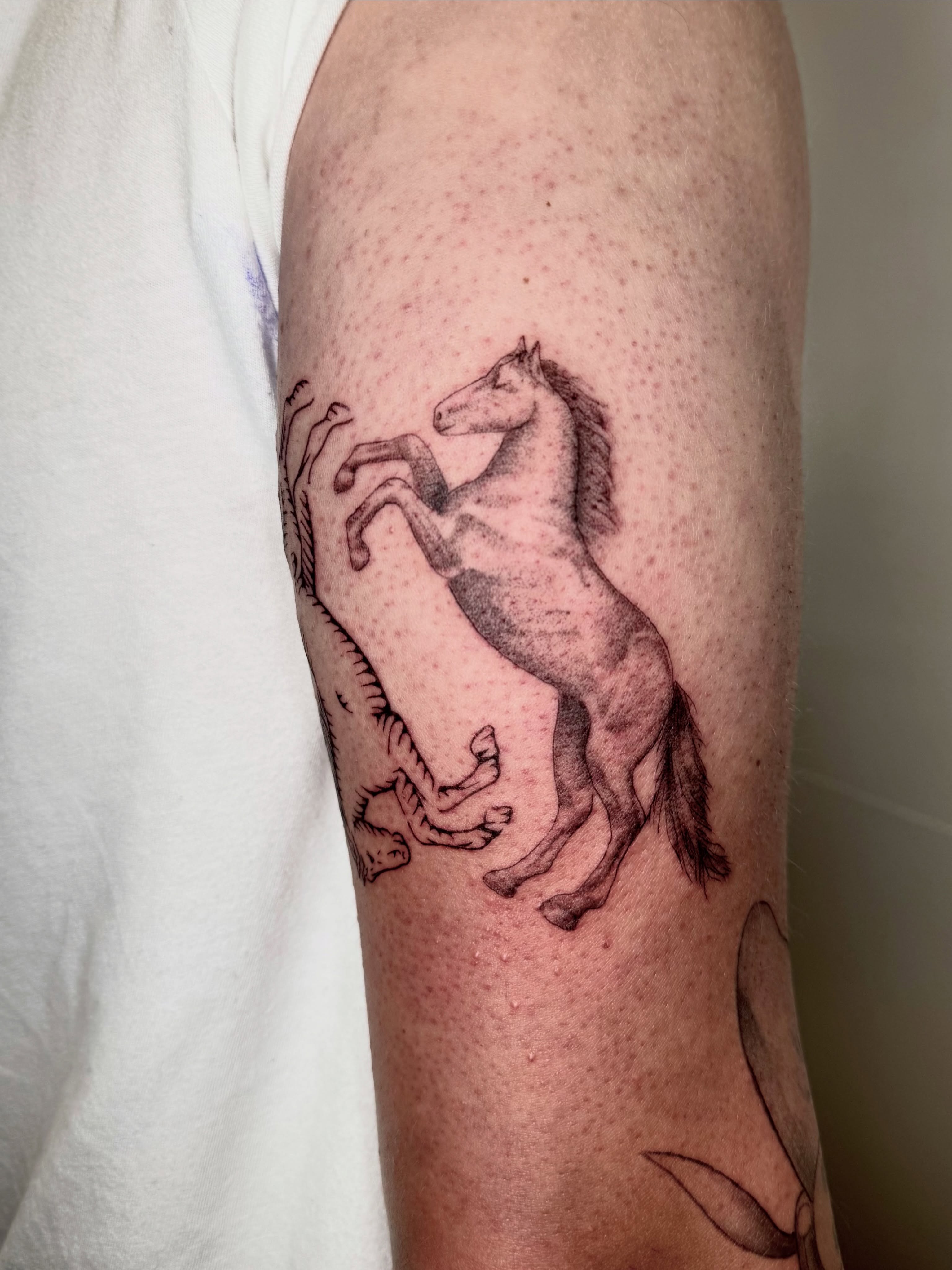 Horse rearing black and grey tattoo on the forearm by Ian Saner