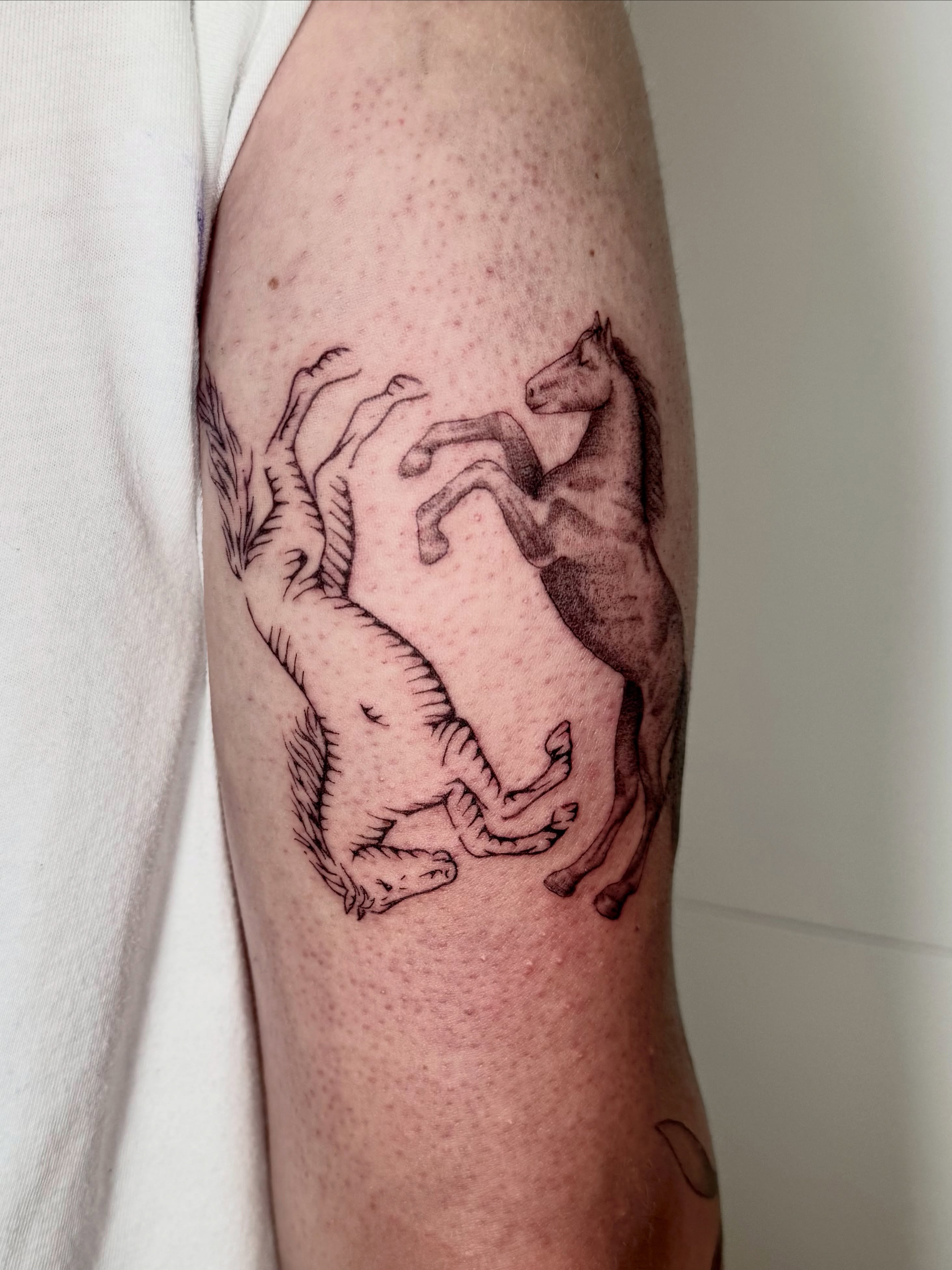 Horses dotwork tattoo on the forearm by Ian Saner