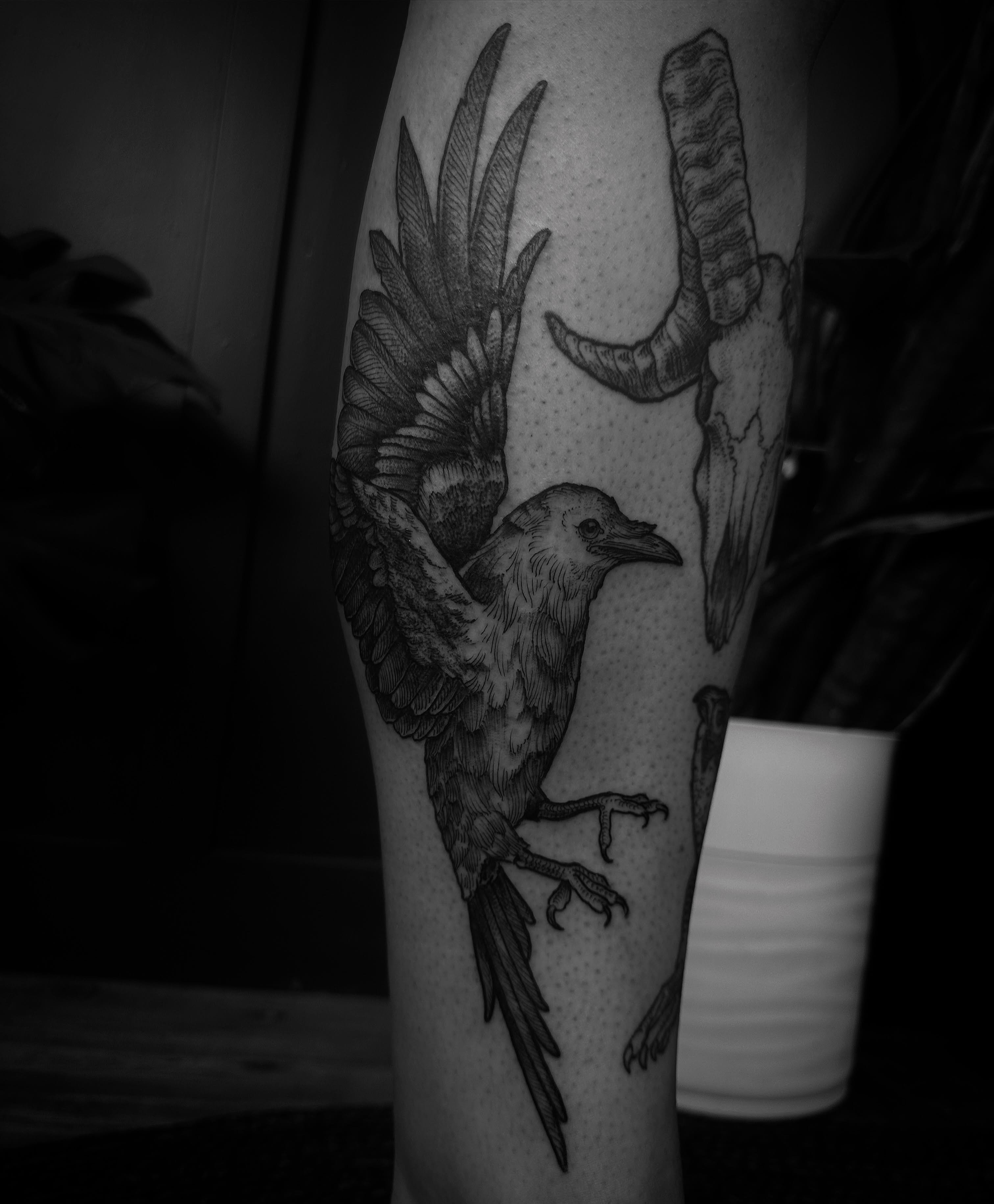 Crow and ram skull dotwork tattoo on the forearm by Desireé Keys, Midvale, Utah