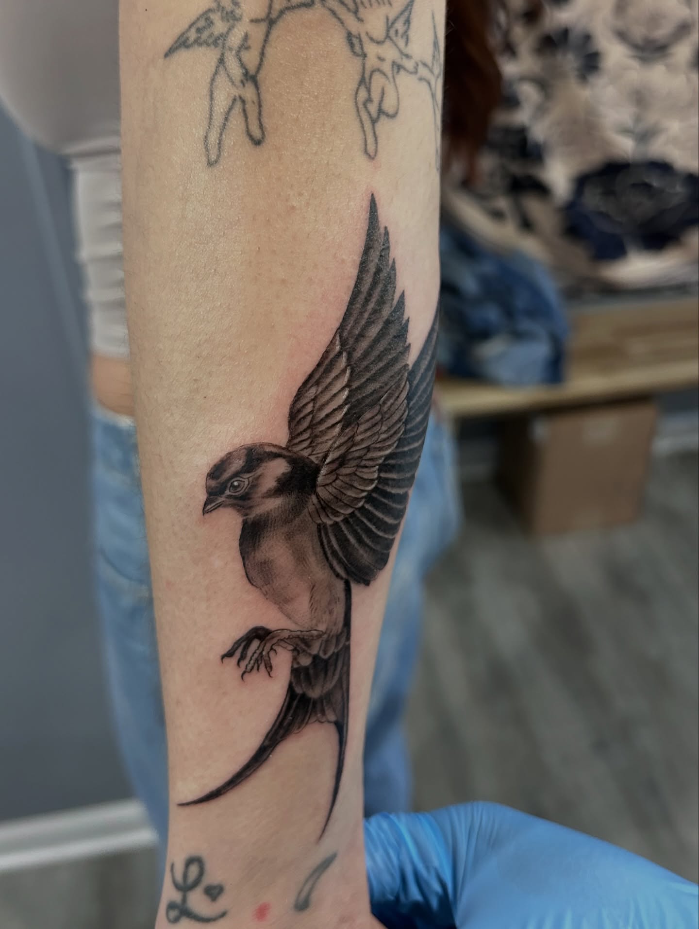 Swallow realism tattoo on the forearm by Oto_art