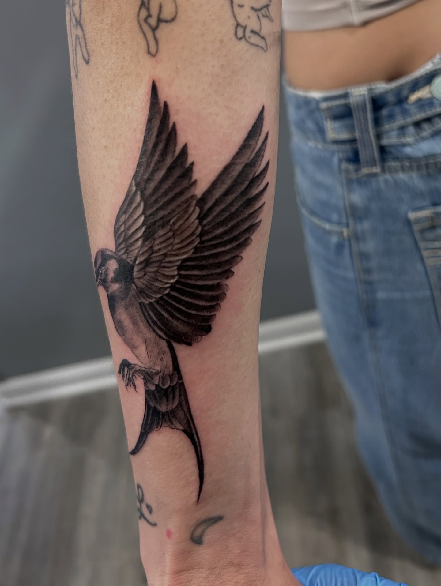 Bird realism tattoo on the forearm by Oto_art