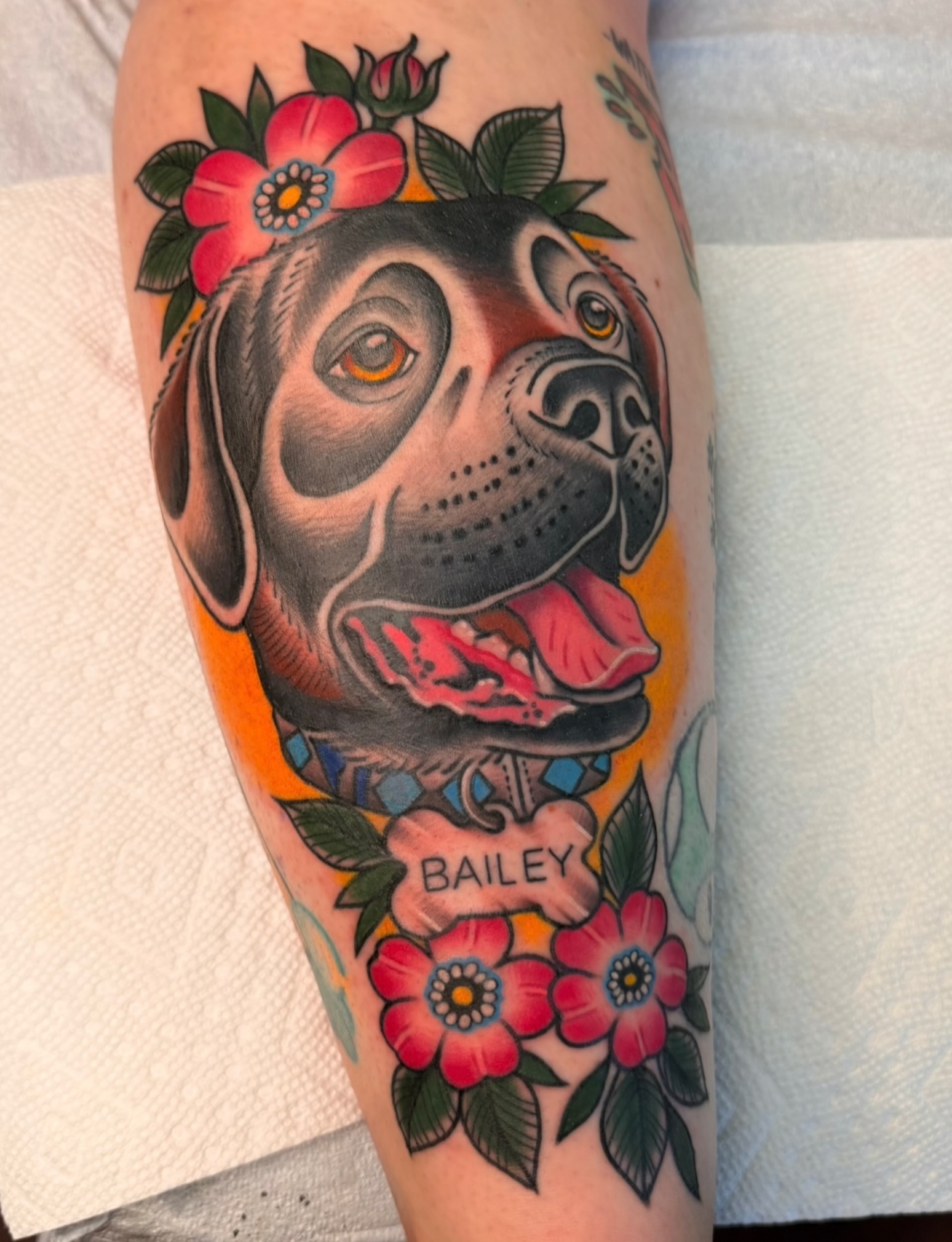 Dog portrait American traditional tattoo on the forearm by Macy Bird
