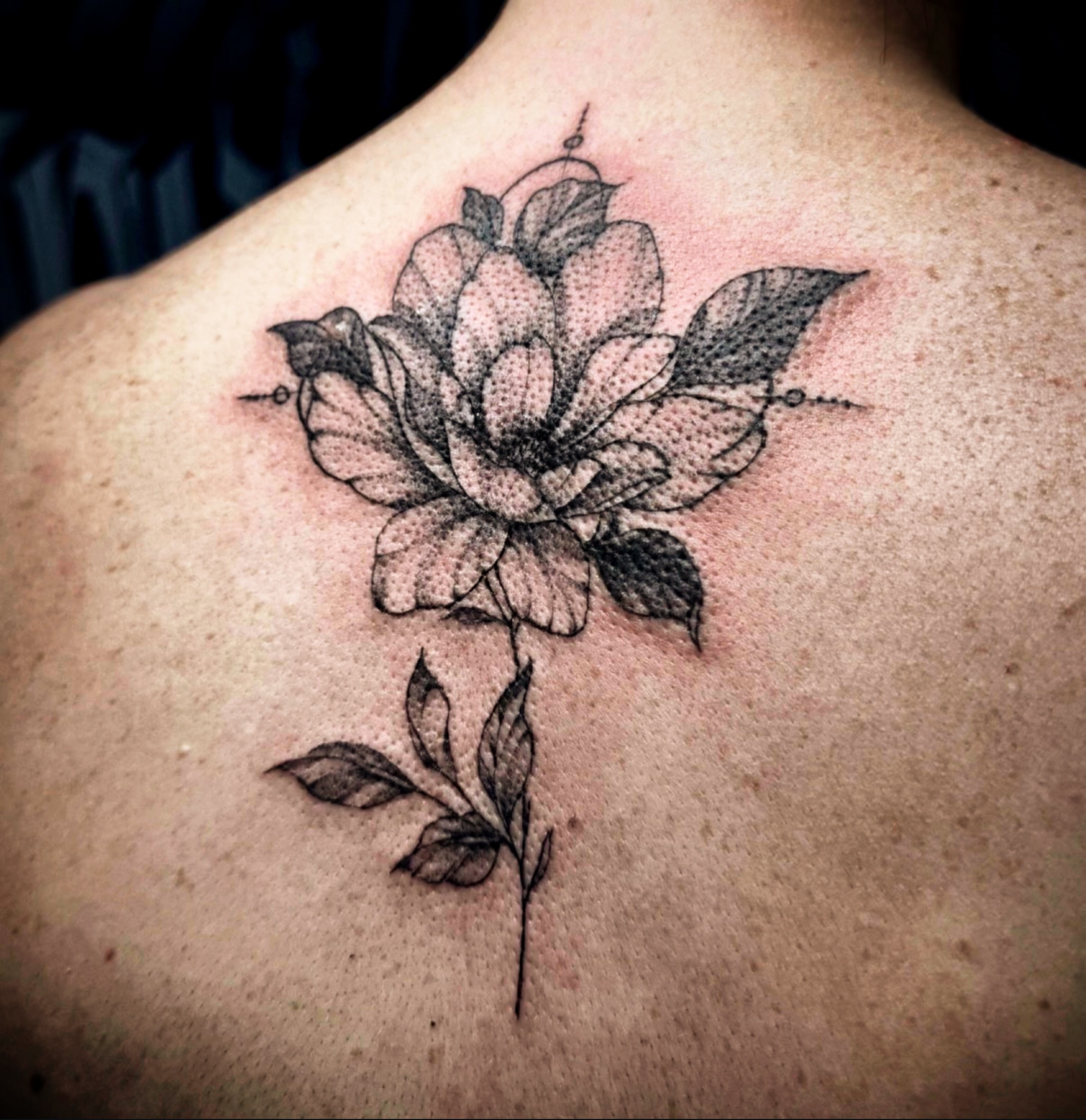 Tattoo by @tattoofuranina — dotwork
