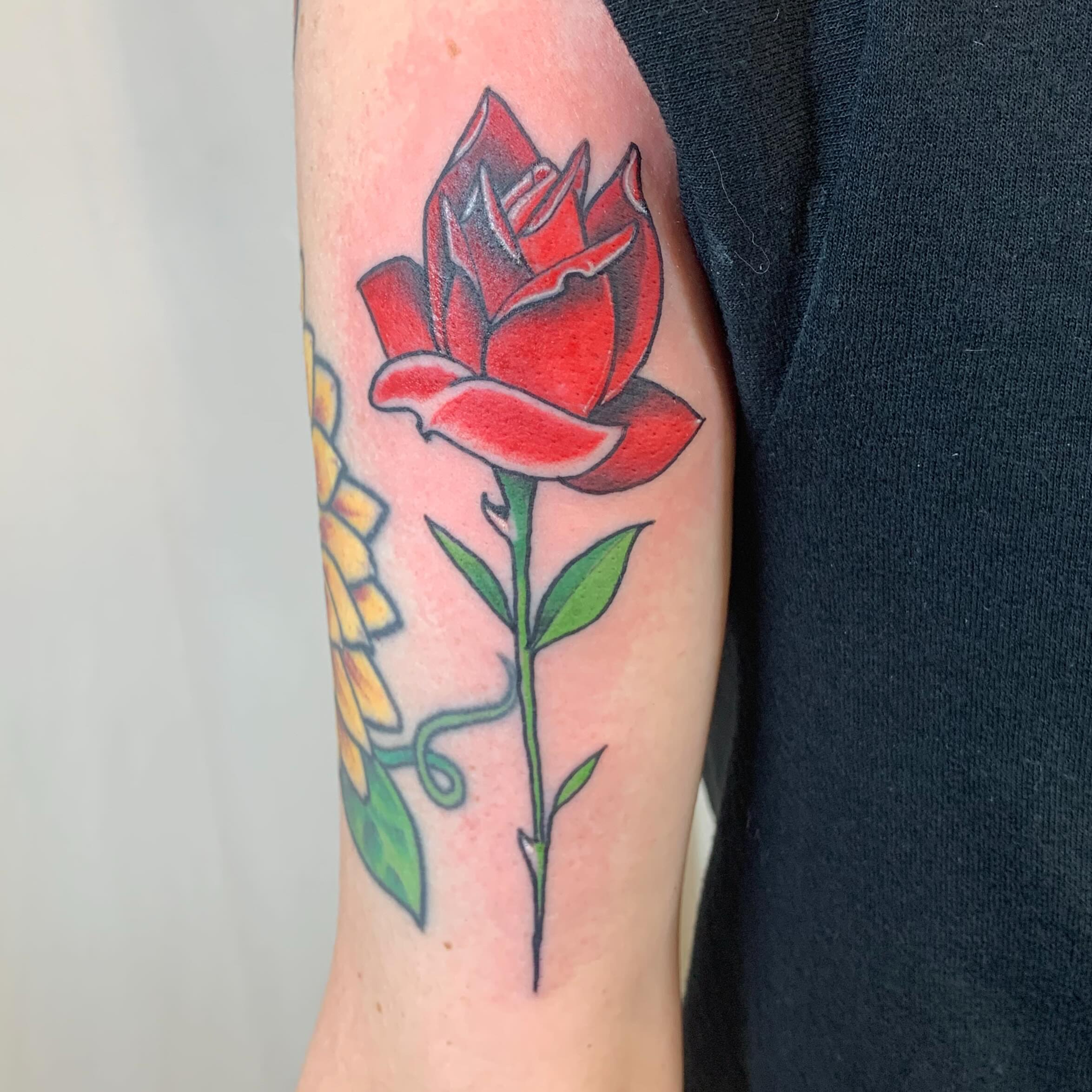 Red rose realism tattoo on the forearm by Tattoos By Court