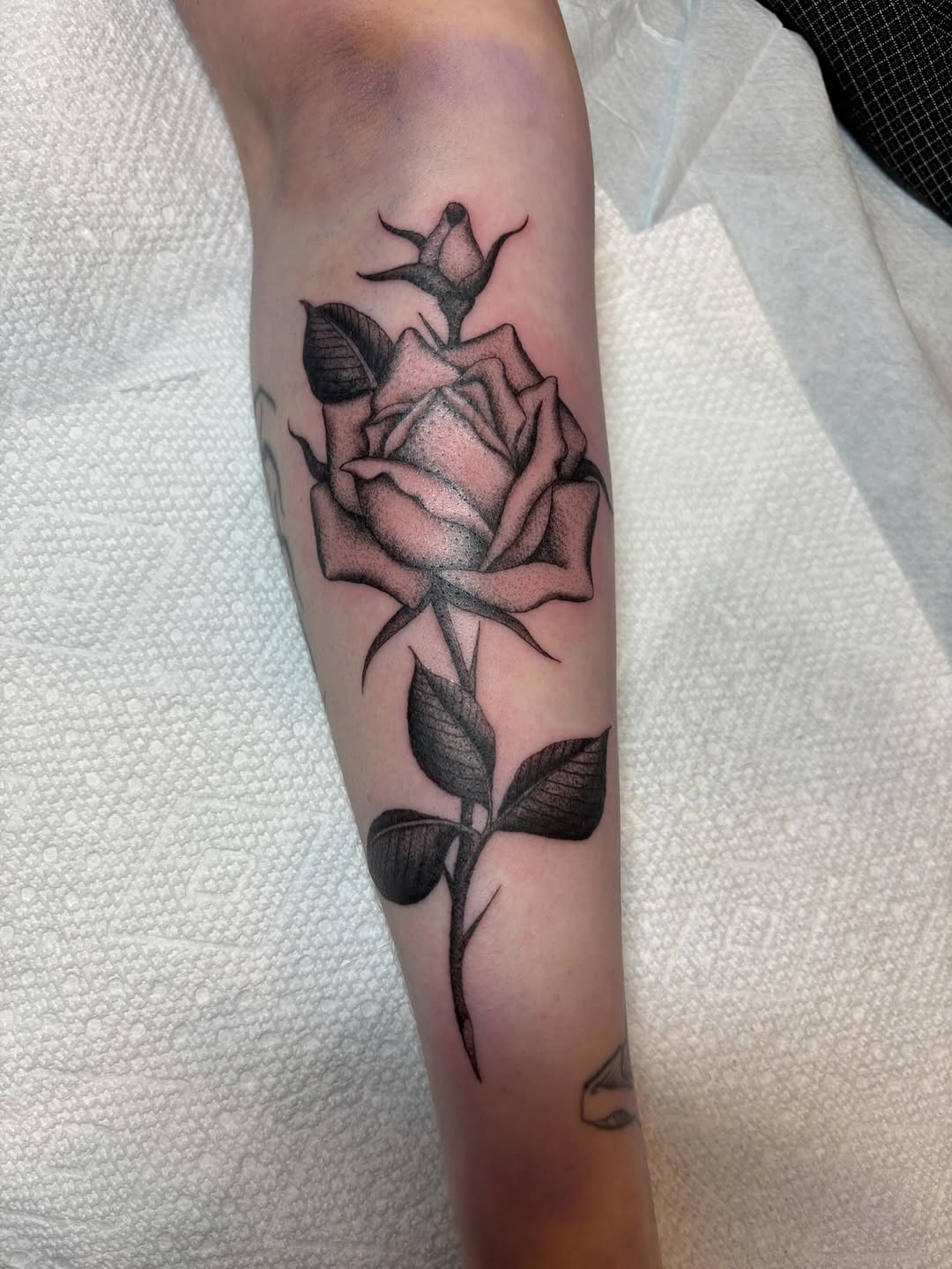 Tattoo by @goatnap — black_and_grey, dotwork