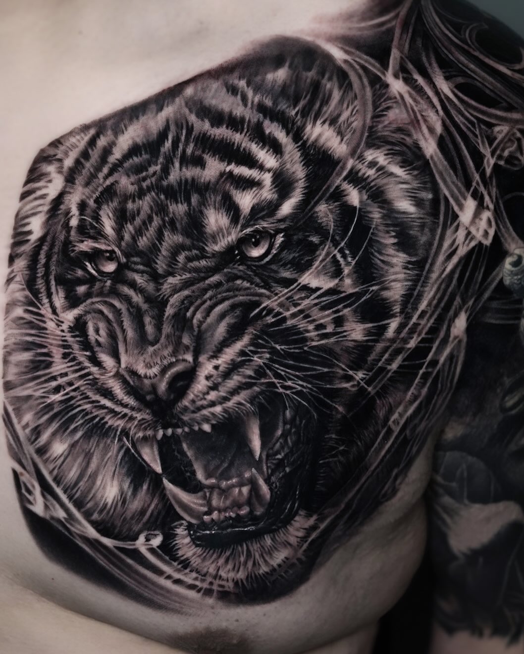 Roaring tiger face realism tattoo on the chest by Pitasso tattoo black and grey
