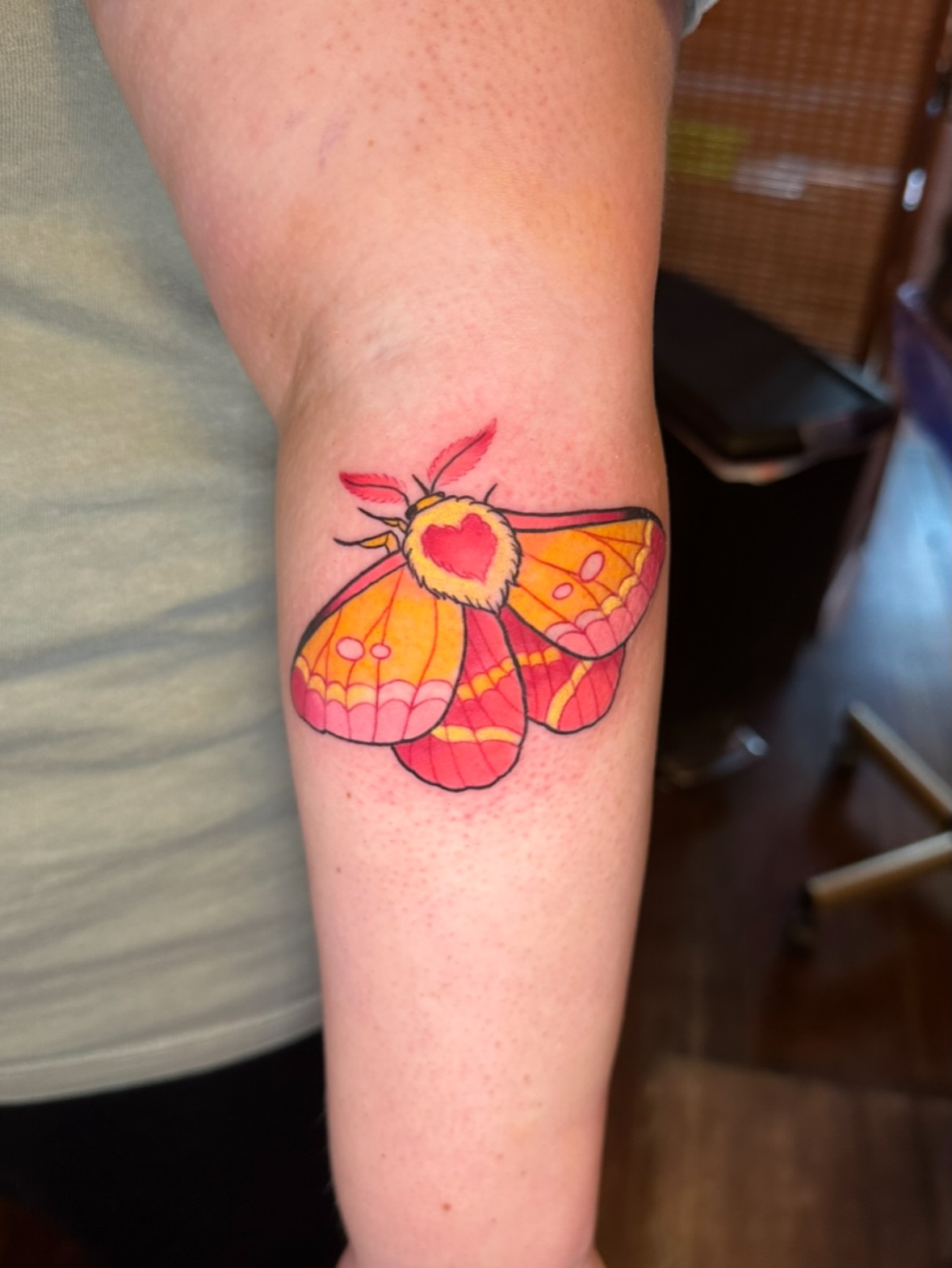 Moth watercolor tattoo on the forearm by 𝔪𝔞𝔩𝔢𝔯𝔦𝔢 𝔫𝔢𝔳𝔢𝔯𝔪𝔬𝔯𝔢 🐦‍⬛ 𝔫𝔢𝔴 𝔧𝔢𝔯𝔰𝔢𝔶 𝔱𝔞𝔱𝔱𝔬𝔬