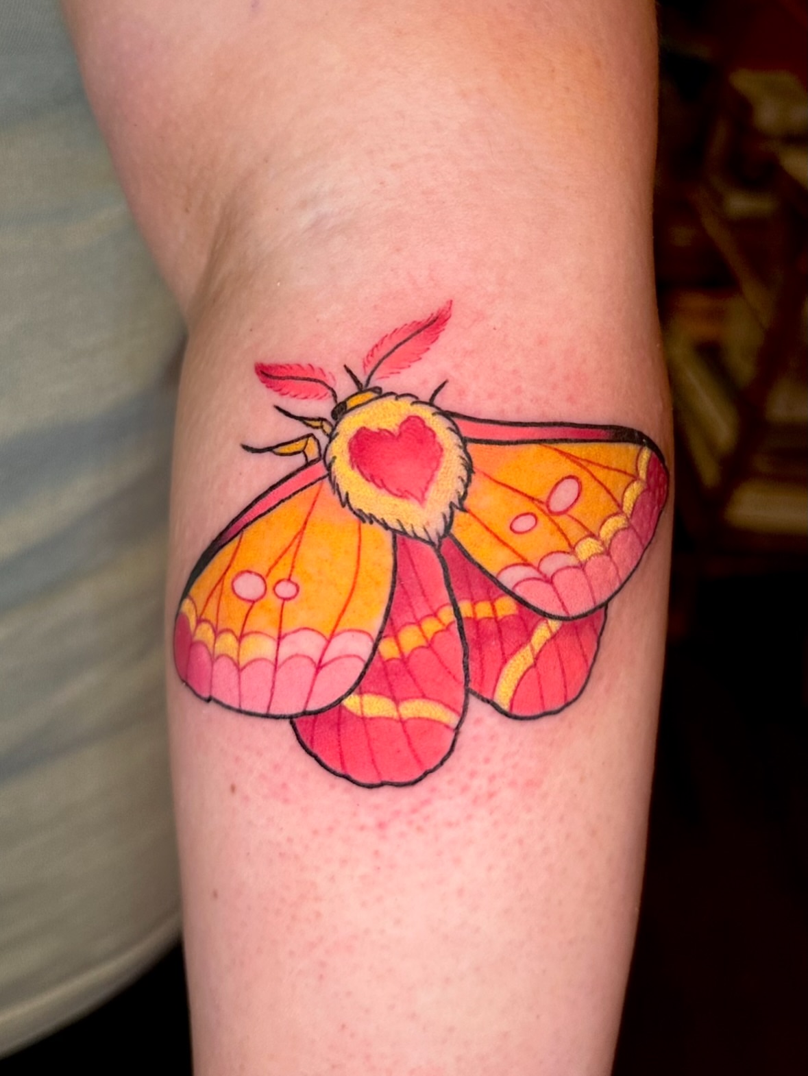 Moth new school tattoo on the forearm by 𝔪𝔞𝔩𝔢𝔯𝔦𝔢 𝔫𝔢𝔳𝔢𝔯𝔪𝔬𝔯𝔢 🐦‍⬛ 𝔫𝔢𝔴 𝔧𝔢𝔯𝔰𝔢𝔶 𝔱𝔞𝔱𝔱𝔬𝔬