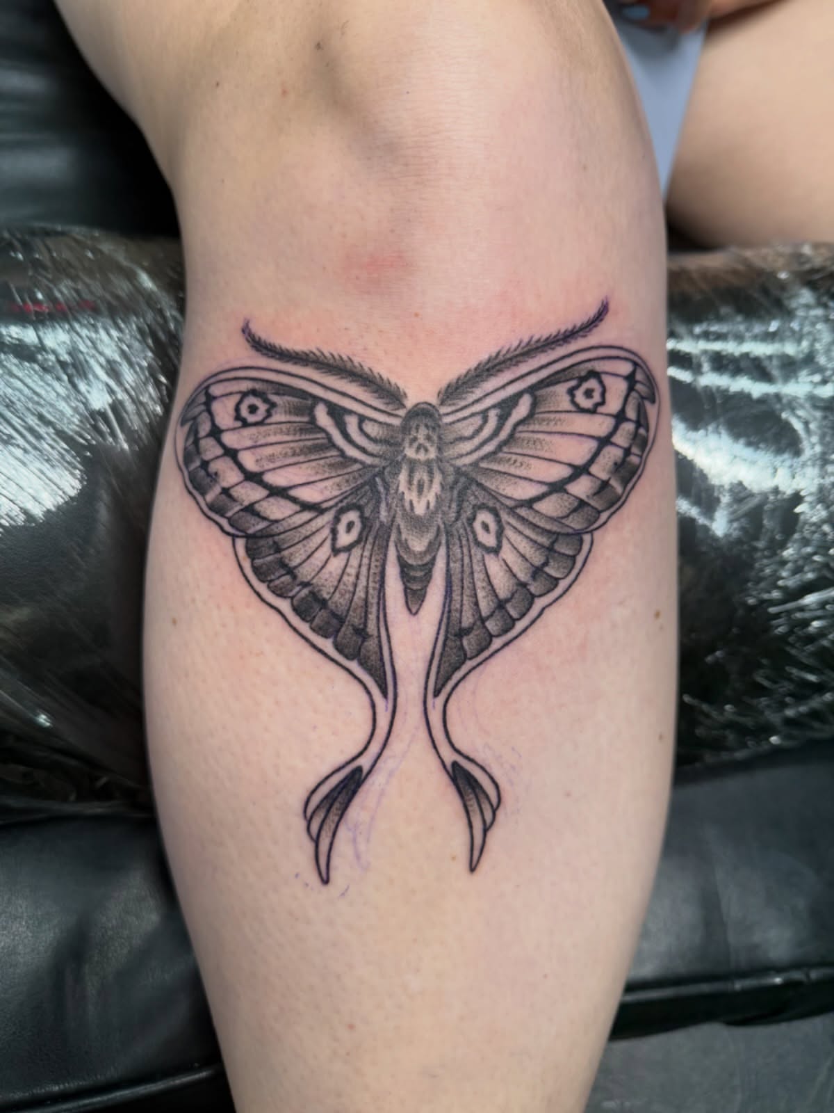 Moth black and grey tattoo on the forearm by Squid