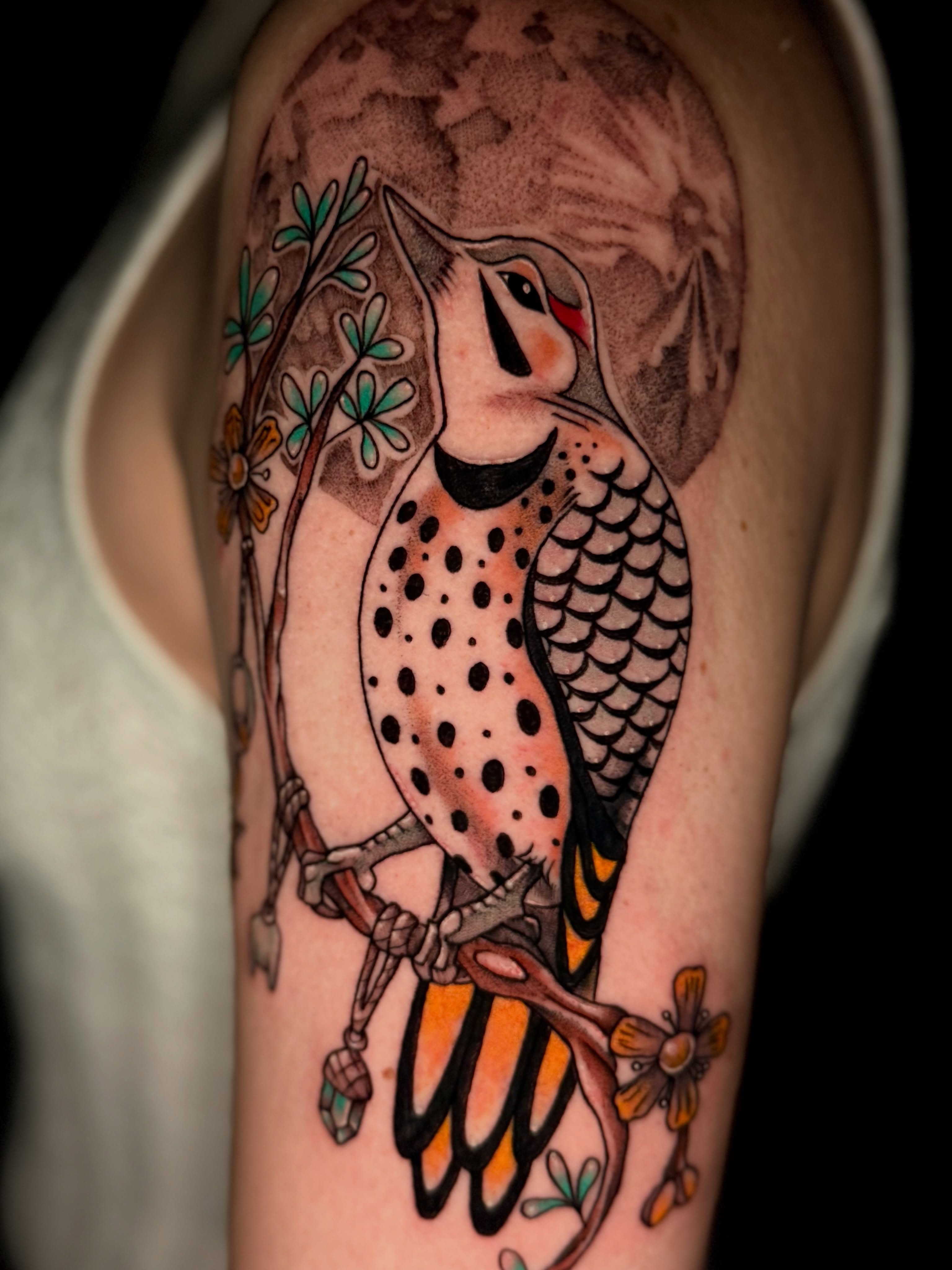 Woodpecker American traditional tattoo on the forearm by Exploitedtattoos