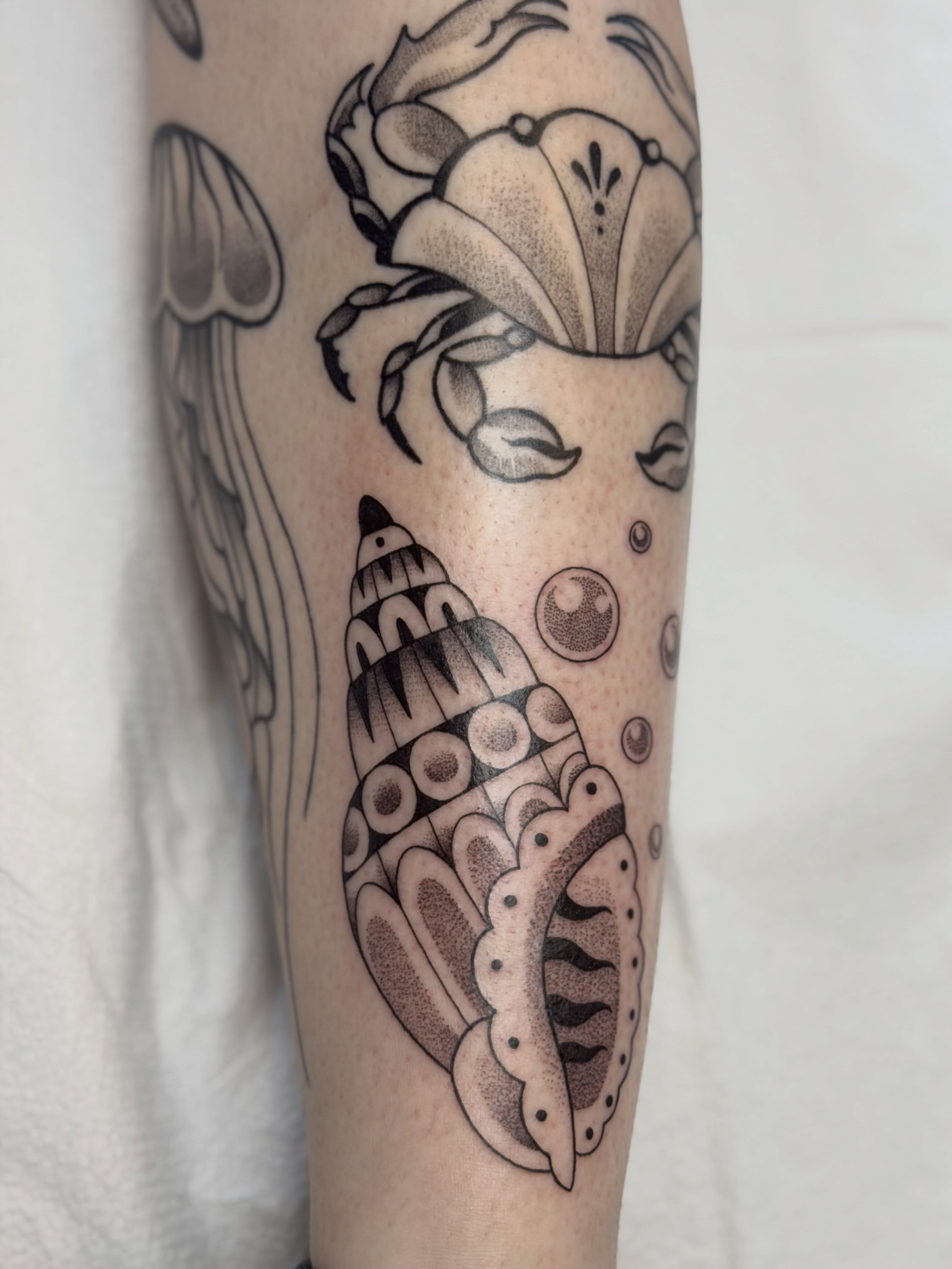 Seashell and crab black and grey tattoo on the forearm by Kailey Ru, Knoxville, Tennessee