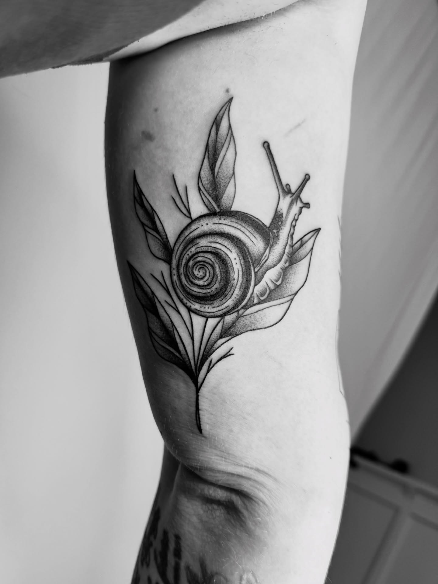 Snail and leaf dotwork tattoo on the forearm by Jenna Nicole