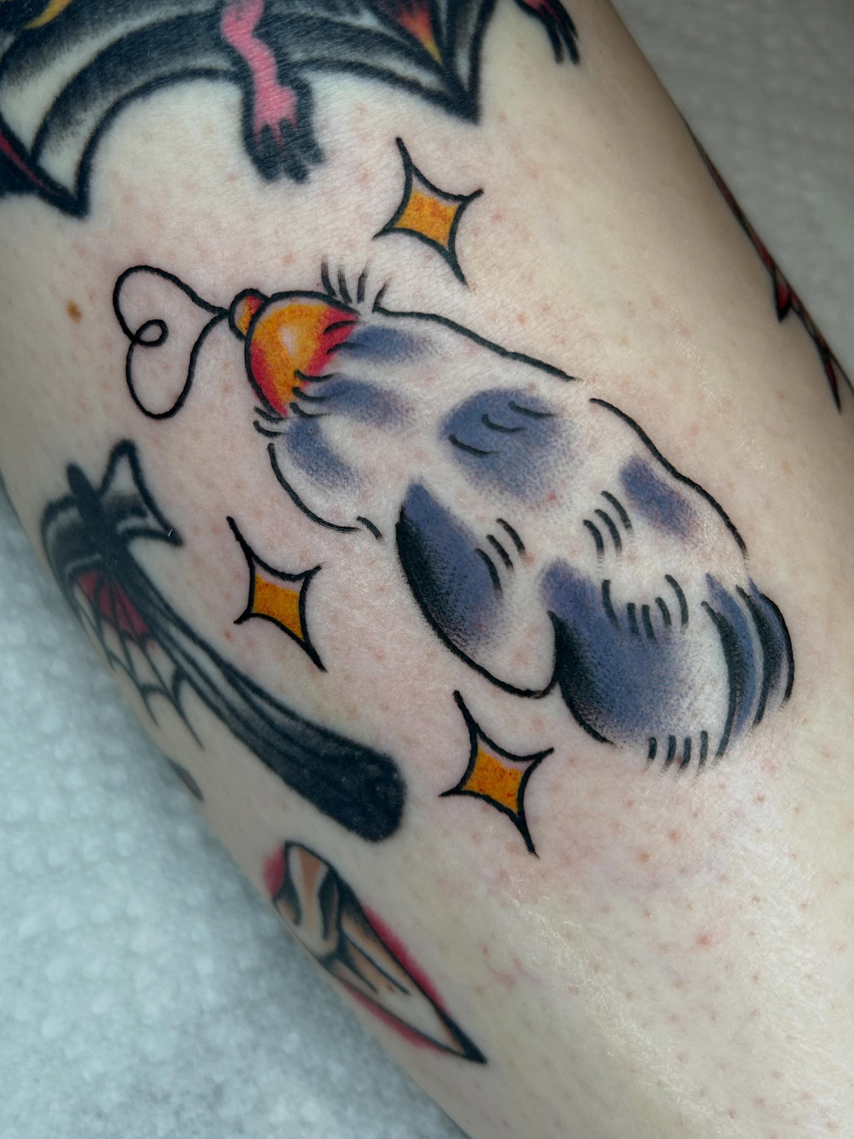 Cat American traditional tattoo on the forearm by Cassidy Hammer, Westland, Michigan