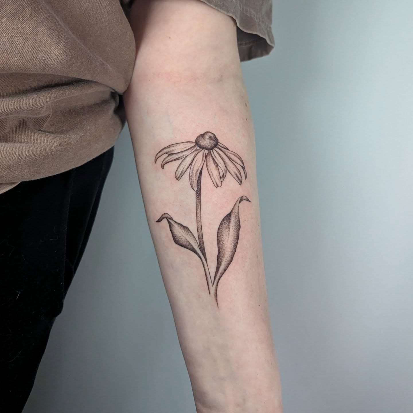 Echinacea flower dotwork tattoo on the forearm by Courtney Yaddof