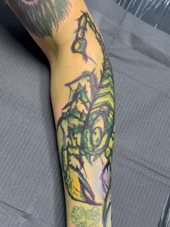 Scorpion neo-traditional tattoo on the forearm by Jack Ferreri
