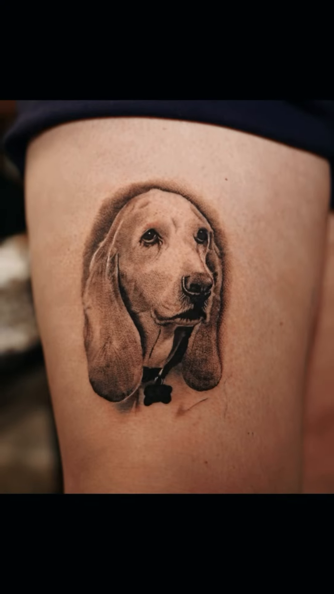 Basset Hound portrait realism tattoo on the thigh by Remko