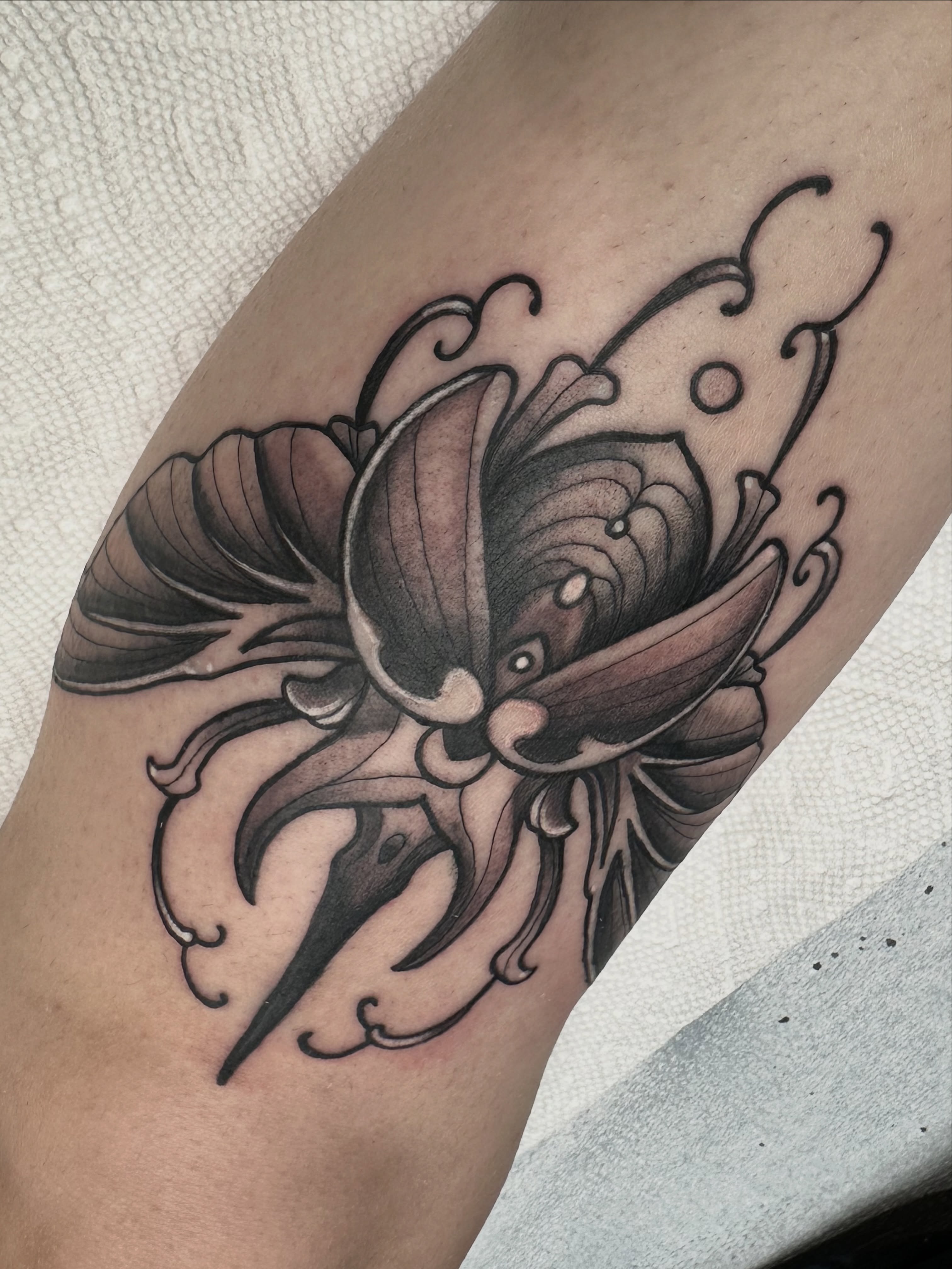 Octopus black and grey tattoo on the forearm by Christopher Layman
