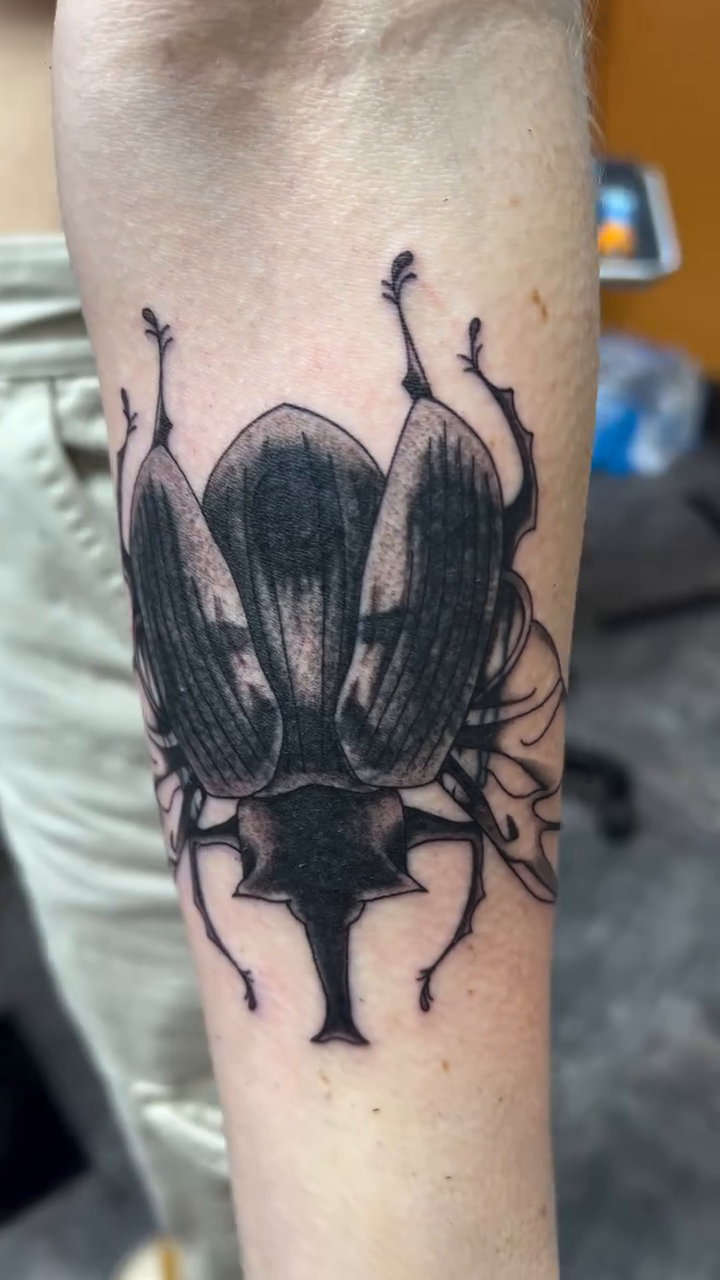 A large beetle fine line tattoo on the forearm by Cortnie, Nashville, Tennessee