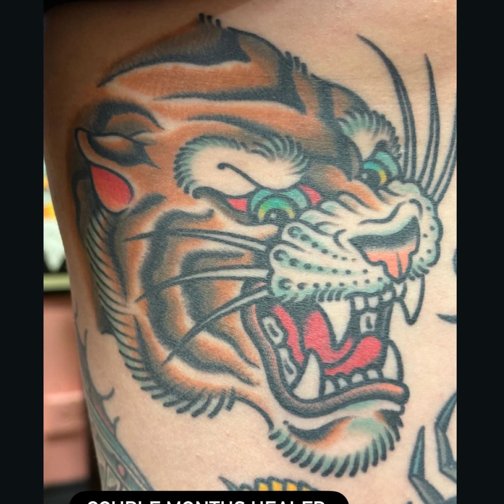 Tiger American traditional tattoo on the forearm by Big Al