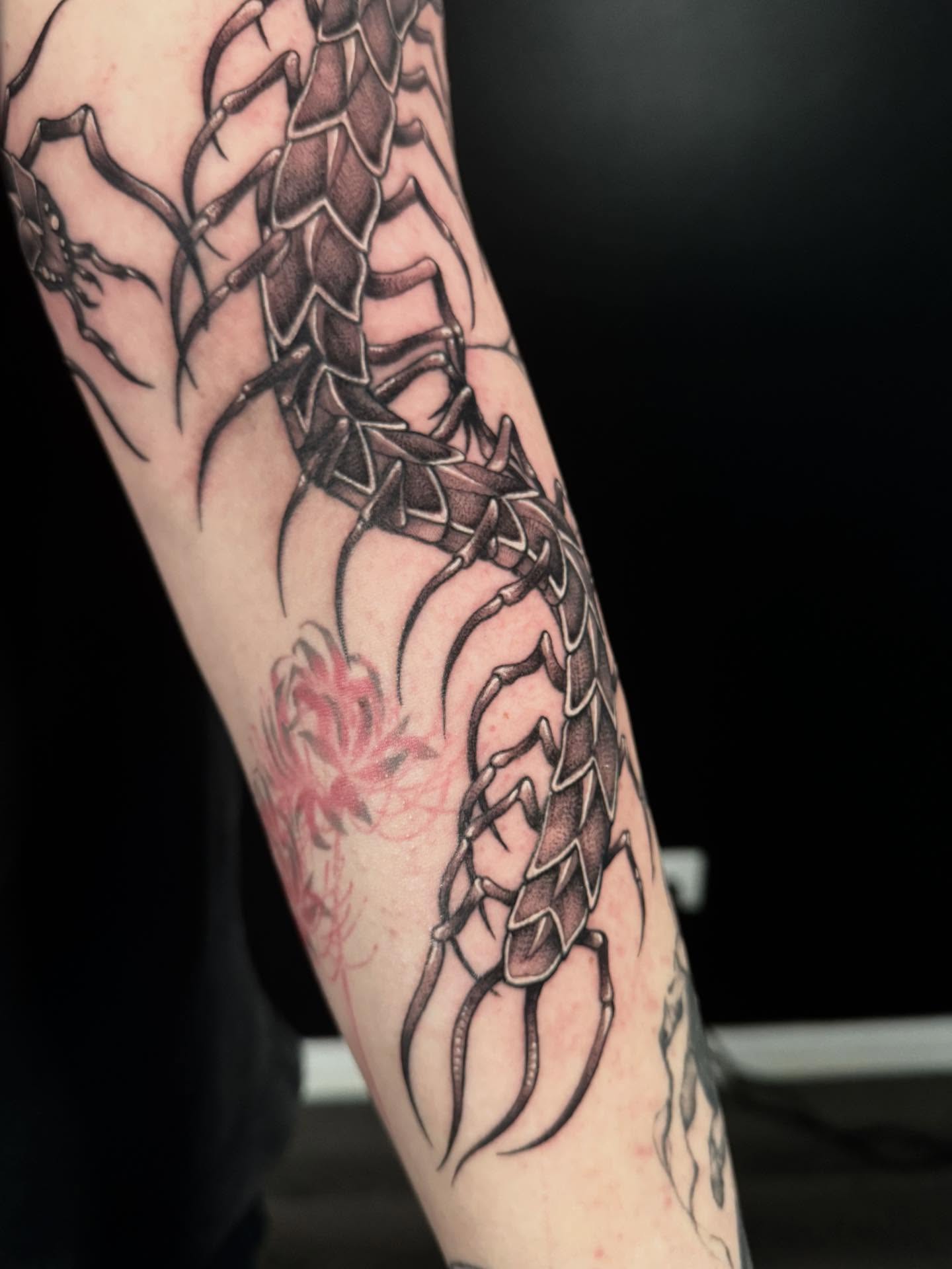 Centipede black and grey tattoo on the forearm by HAiZiE