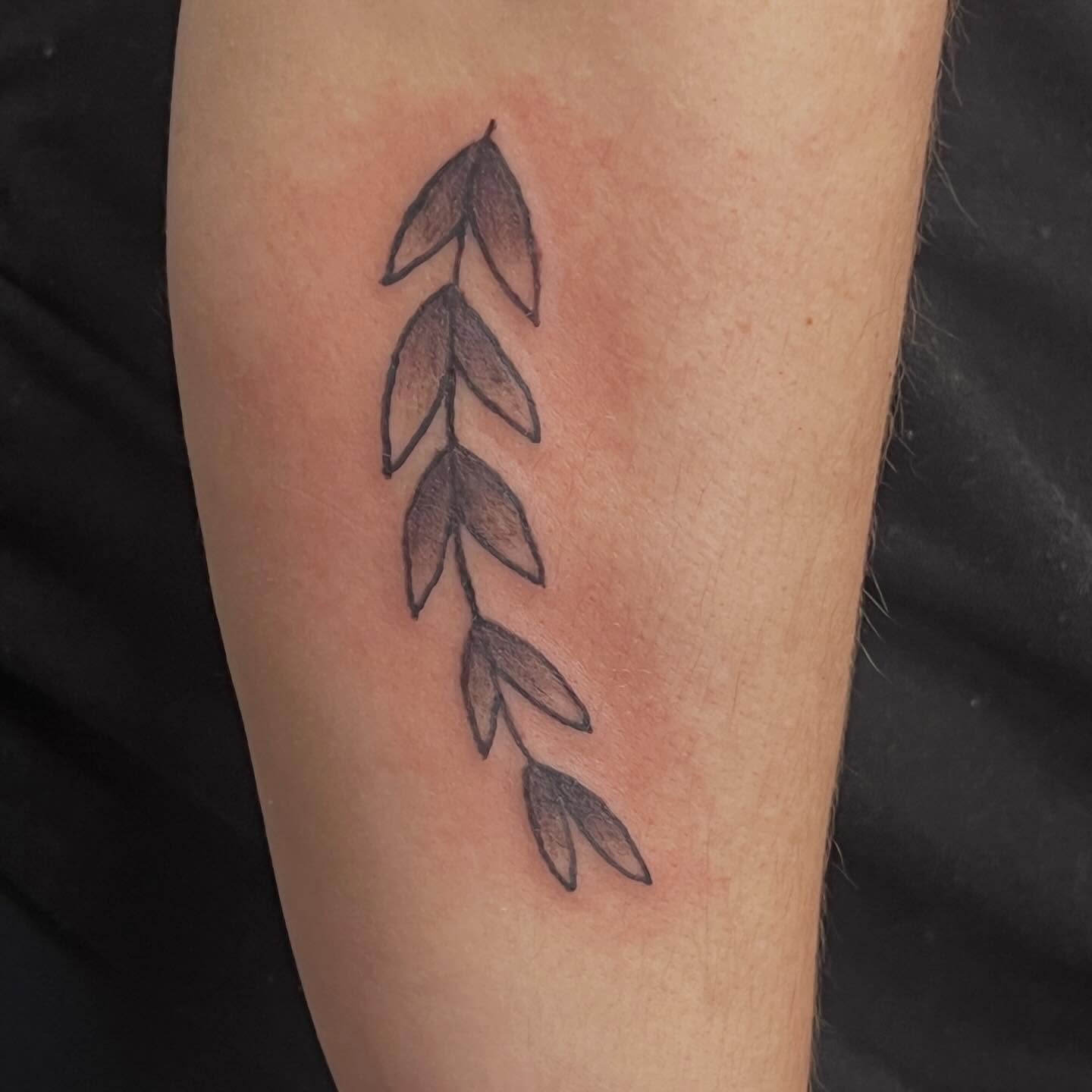 Branch with leaves minimalist tattoo on the forearm by Tomfoolery