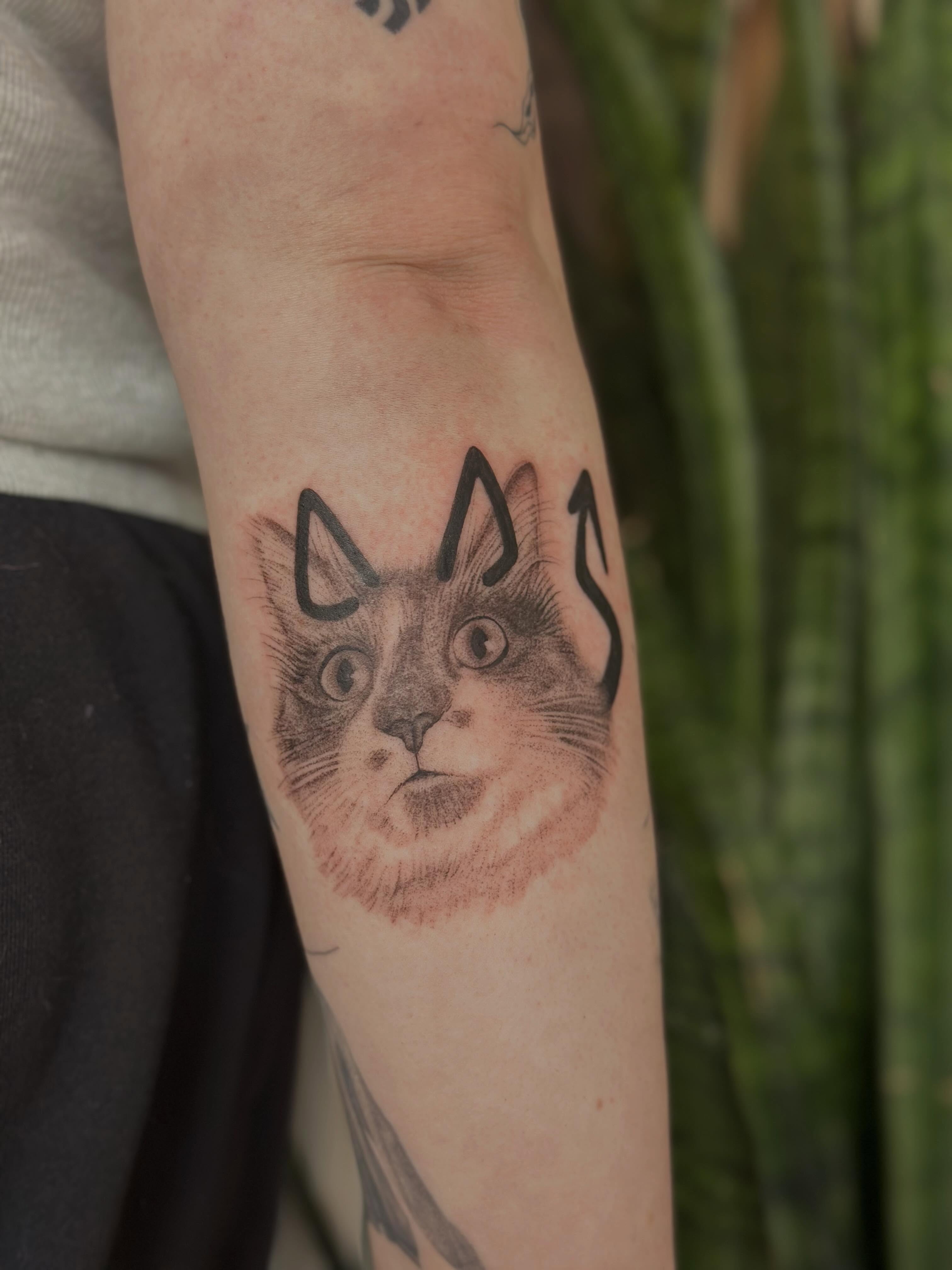 Cat realism tattoo on the forearm by sara scak, Lakewood, Ohio