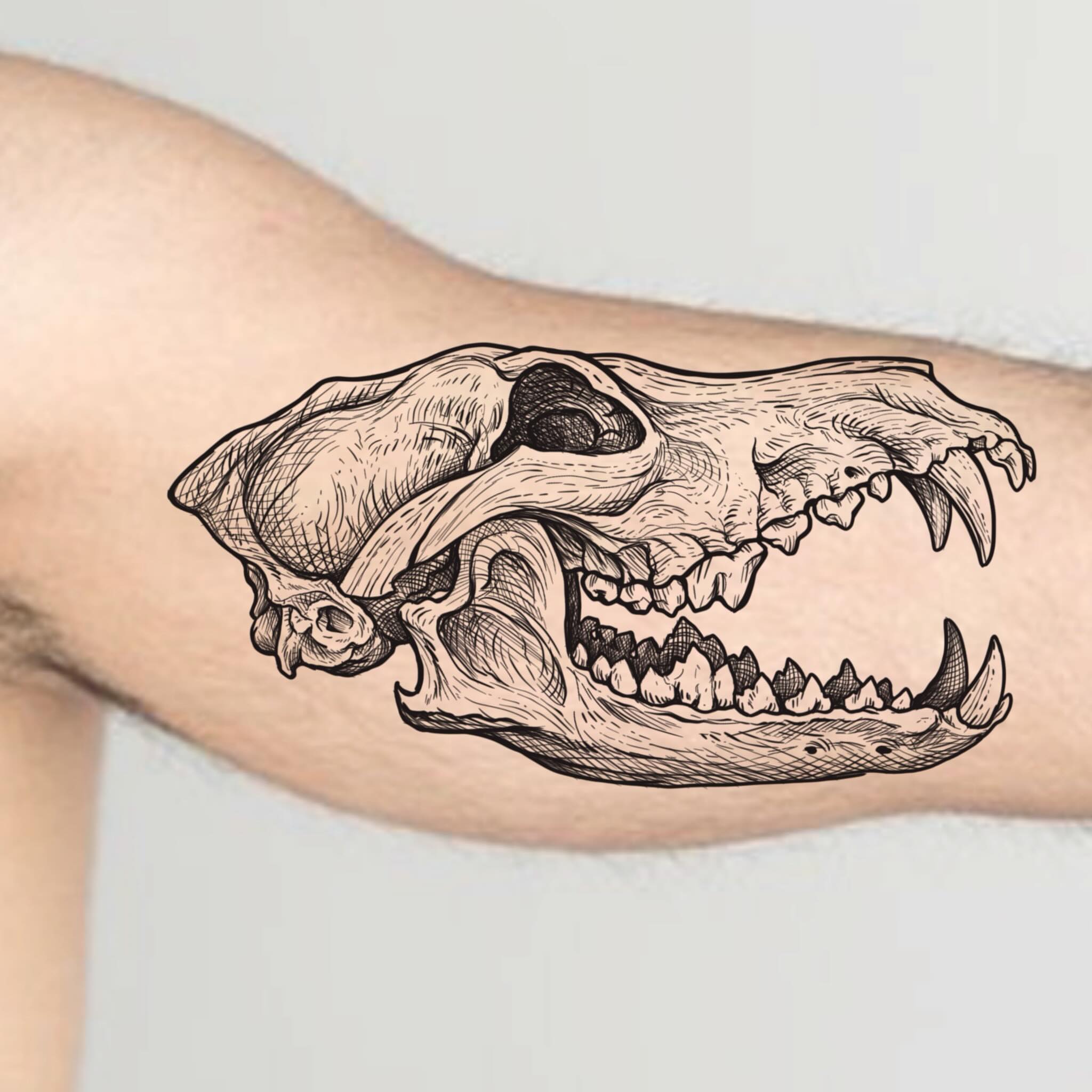 Wolf skull black and grey tattoo on the forearm by Robert McCollum