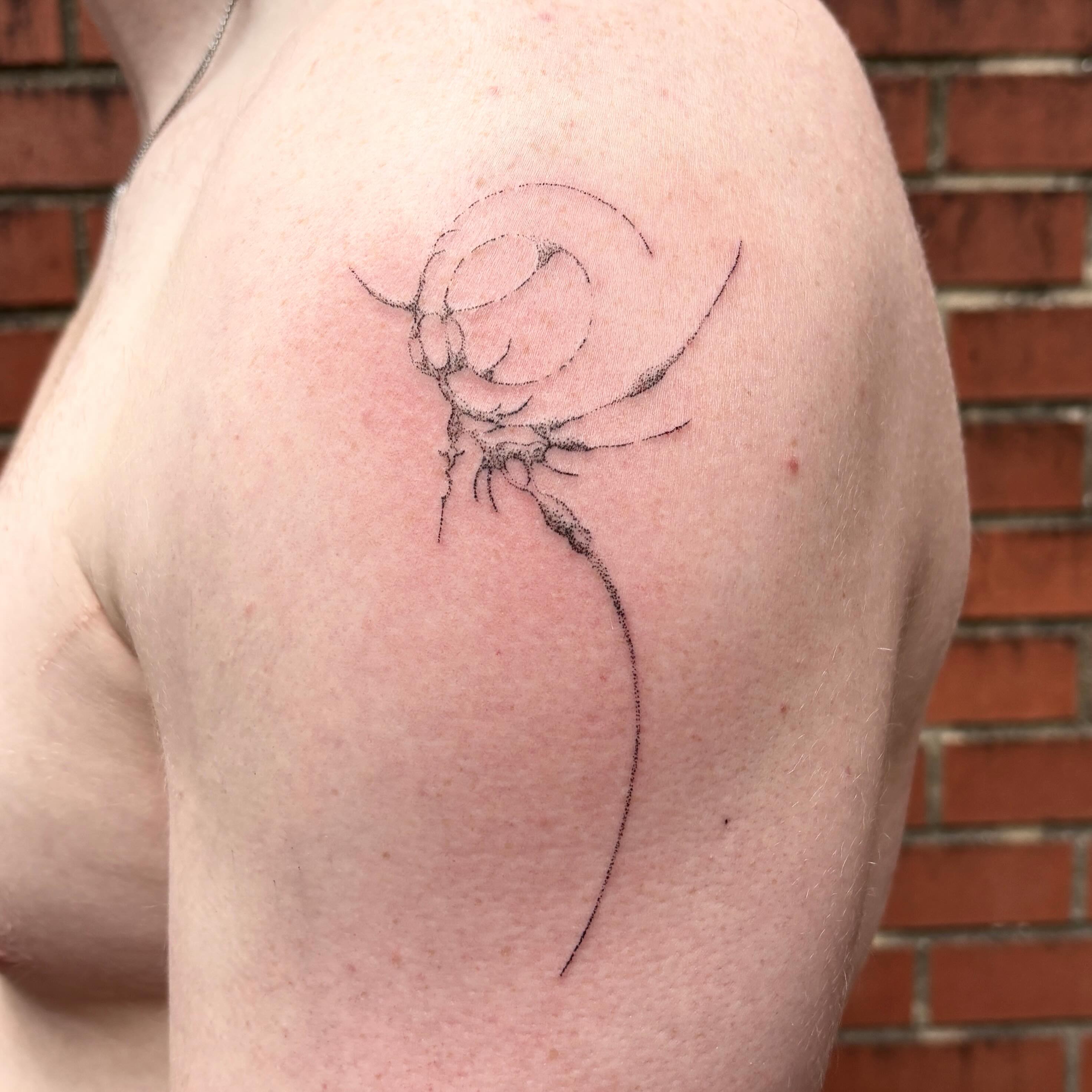 Tattoo by @siilvester — minimalist, dotwork