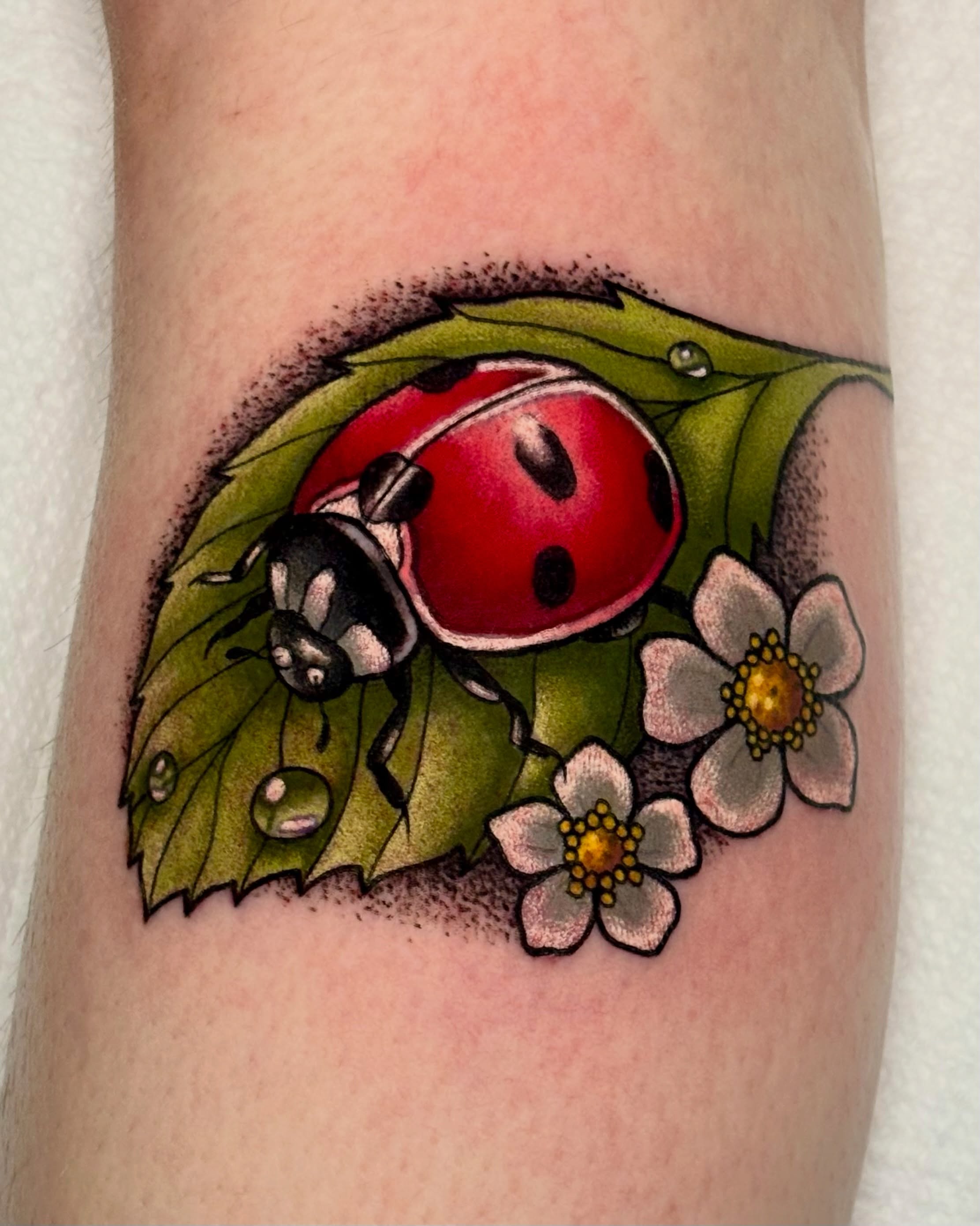 Tattoo by @alexfarsalla — american_traditional
