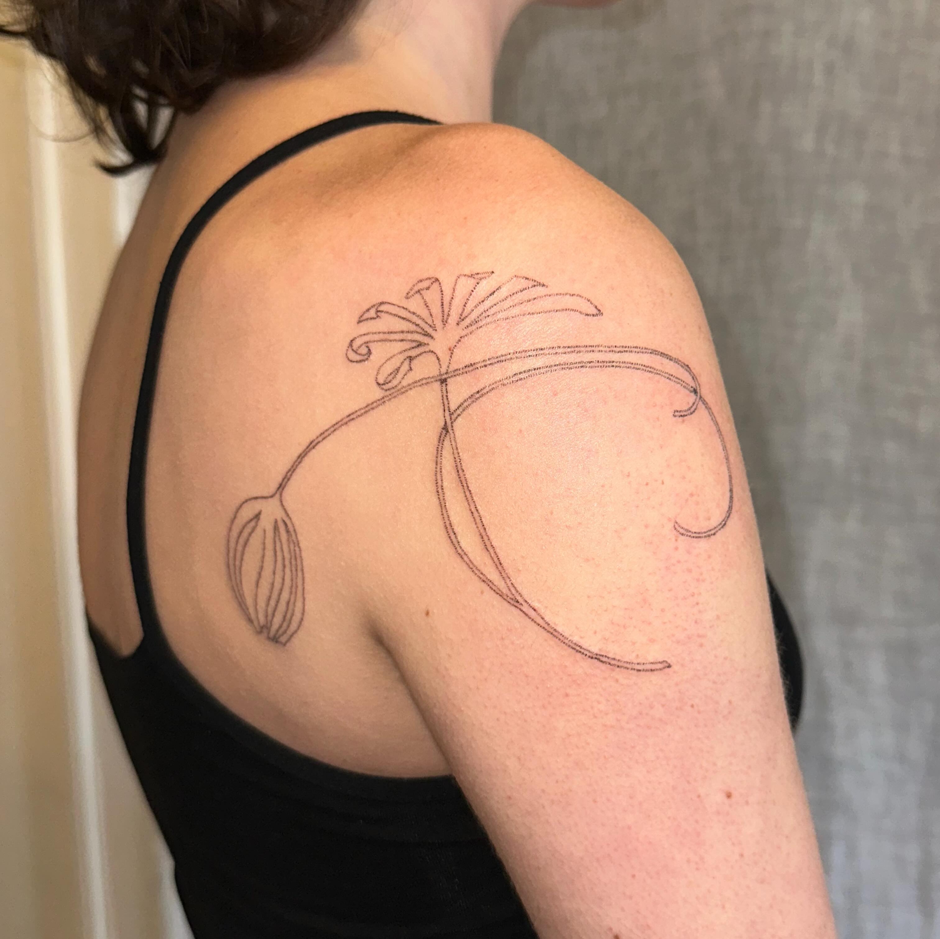Lily fine line tattoo on the shoulder by kate