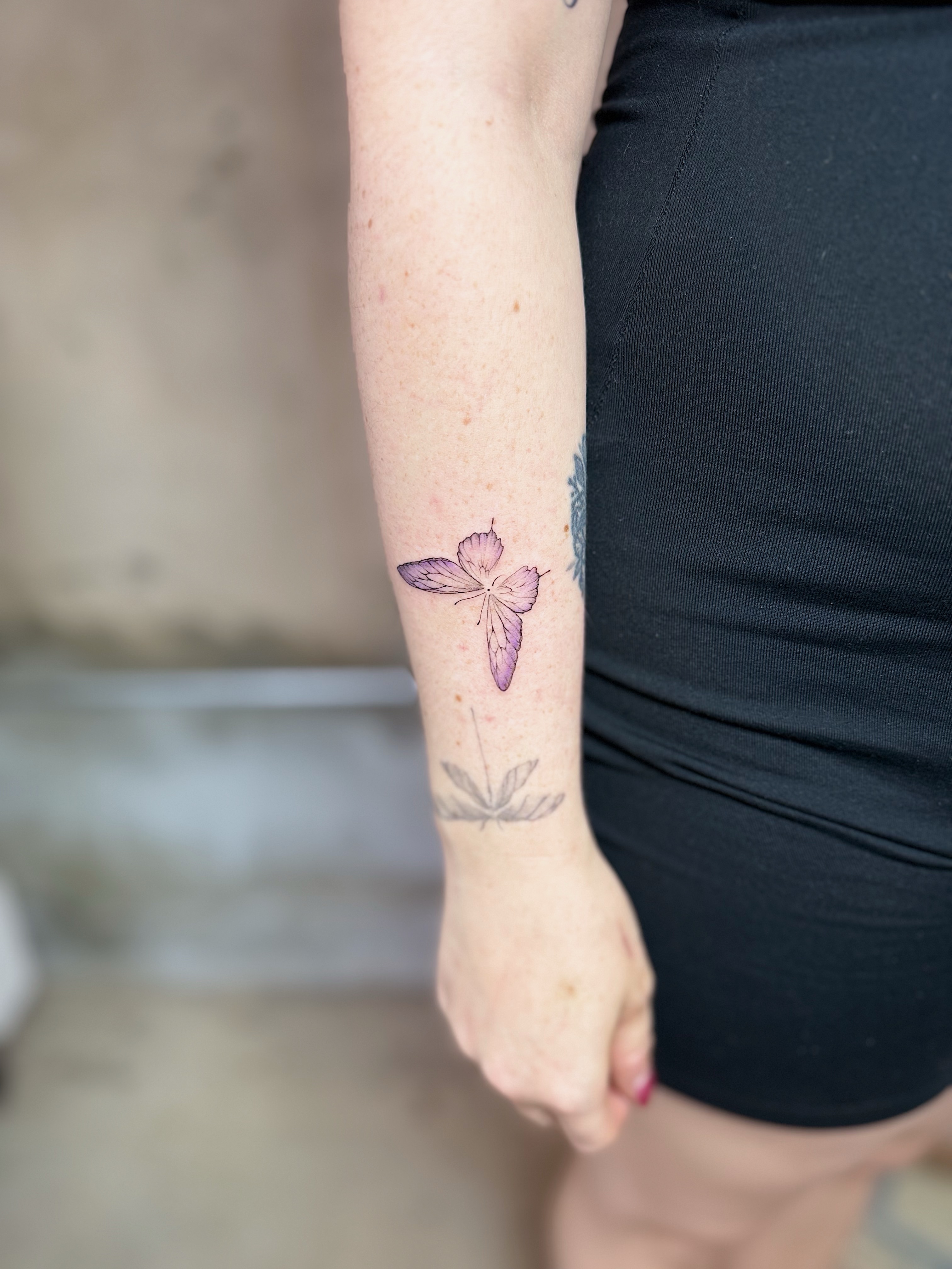 Butterfly dotwork tattoo on the forearm by INK with Christian, Mineral Wells, Texas