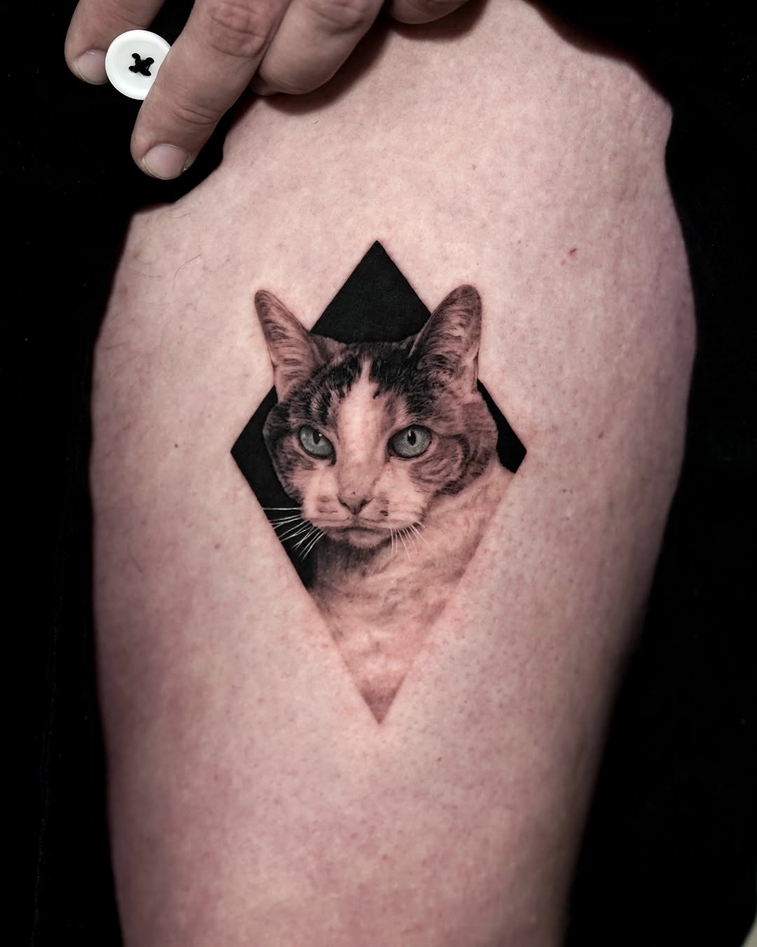 Cat portrait in diamond frame realism tattoo on the thigh by LA Tattoo Yeono