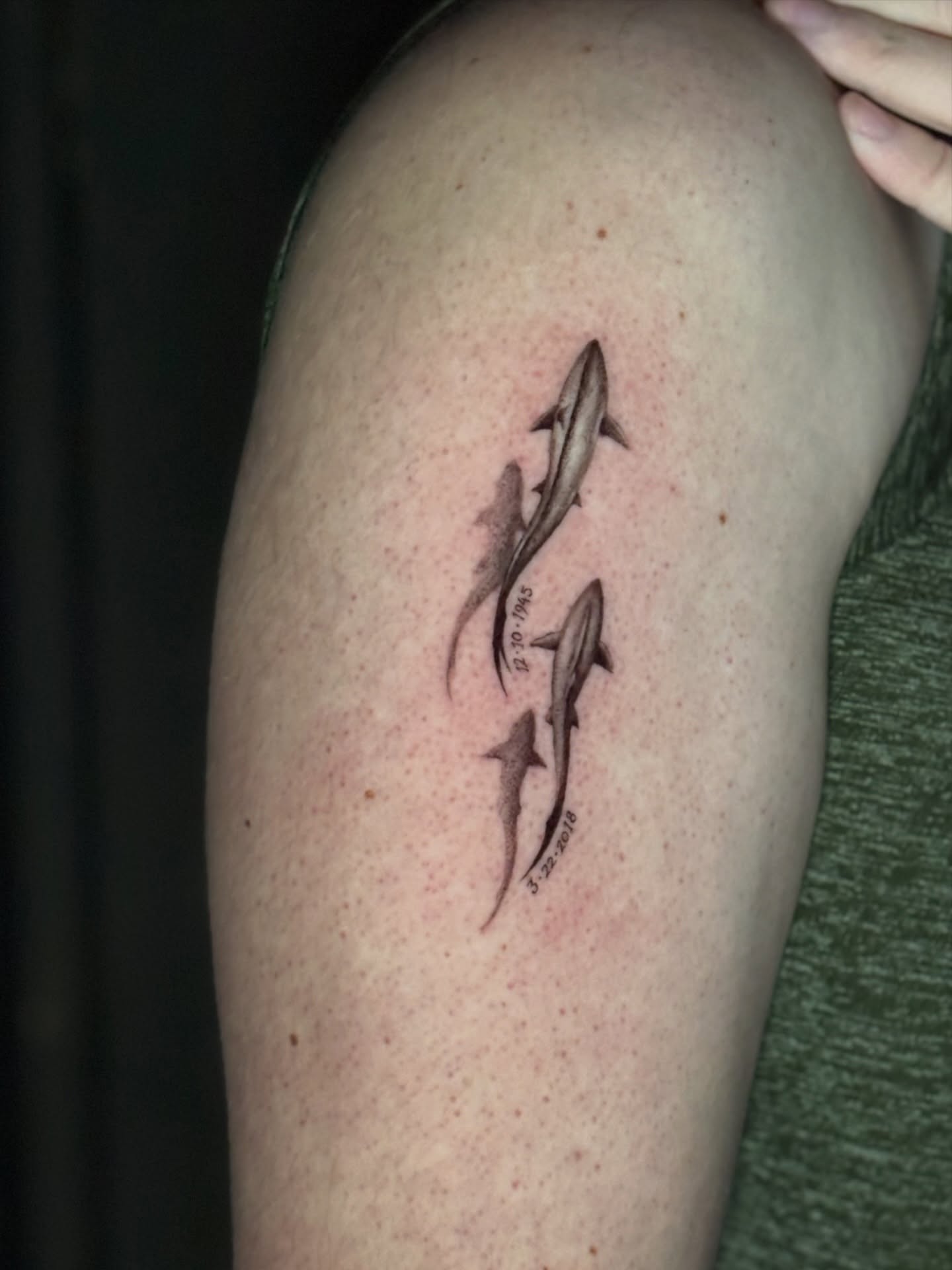 Sharks black and grey tattoo on the upper arm by Jojo Rose ✨ Denver Tattoo Artist